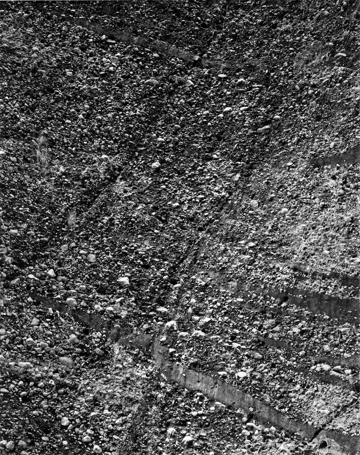 scutts_broome-66.jpg