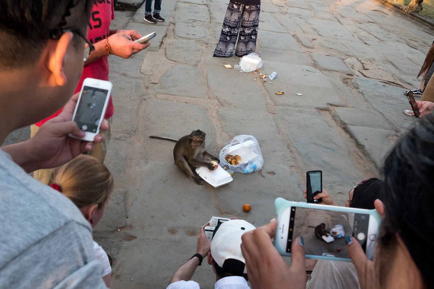 sc_cambodia-7622.jpg