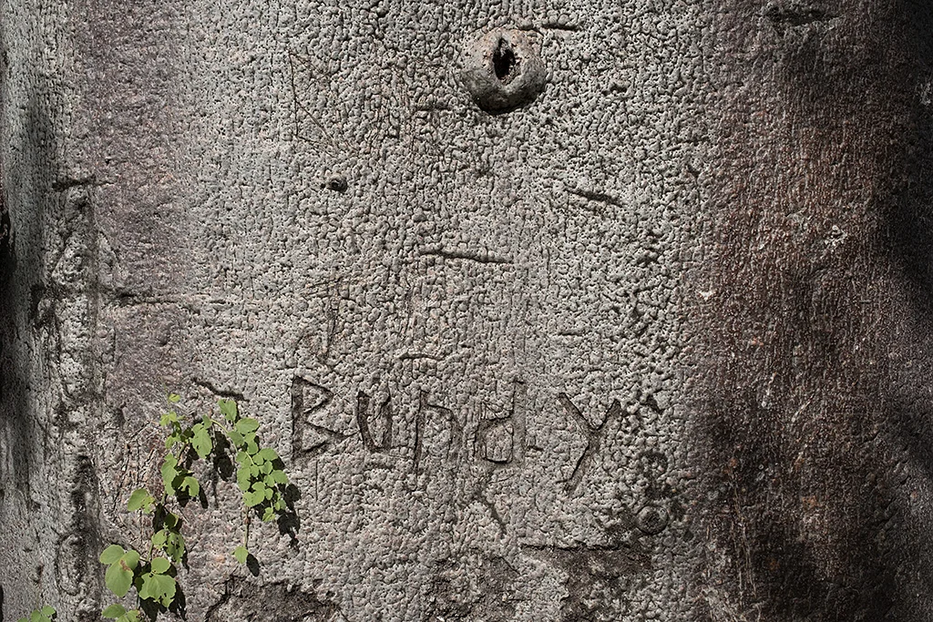 Bundy, The Ord River, The KImberley, Western Australia, 2018