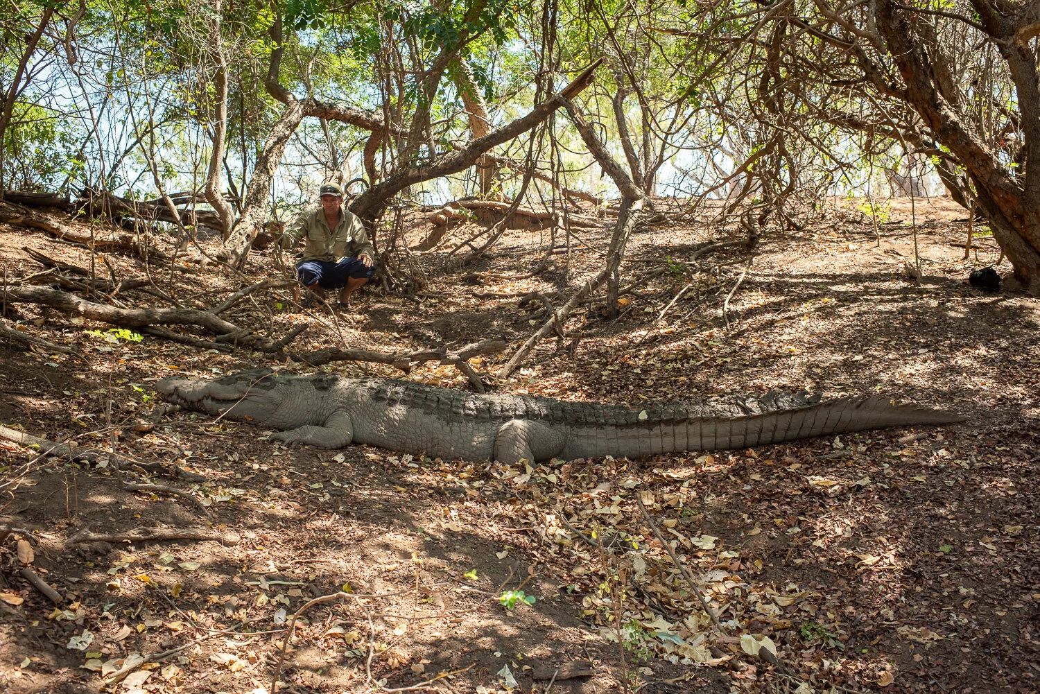 Filming Crocodiles in North Australia