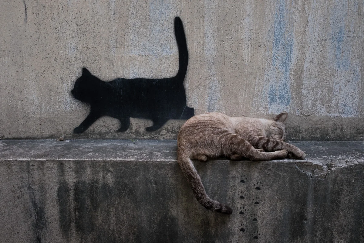 2017_01 Bangkok 0002.jpg