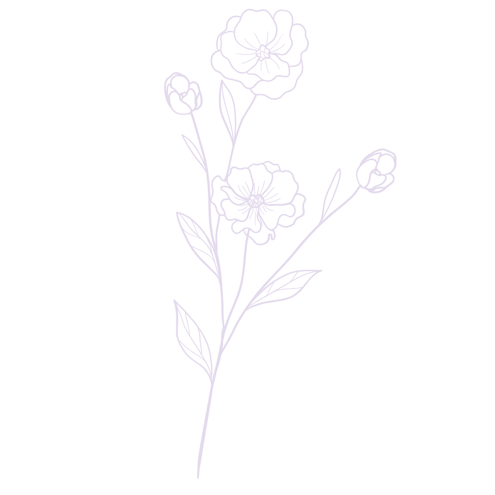 Line drawing of a flower with multiple blooms and leaves on a black background.