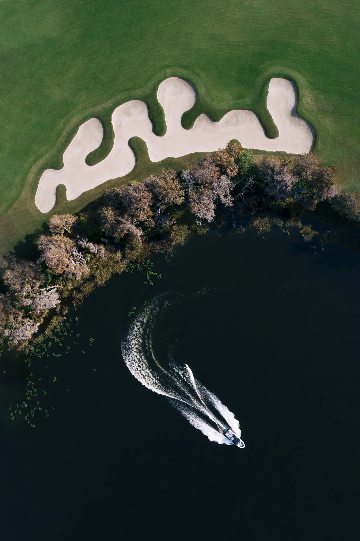 BAY_HILL-4-WIDER.webp