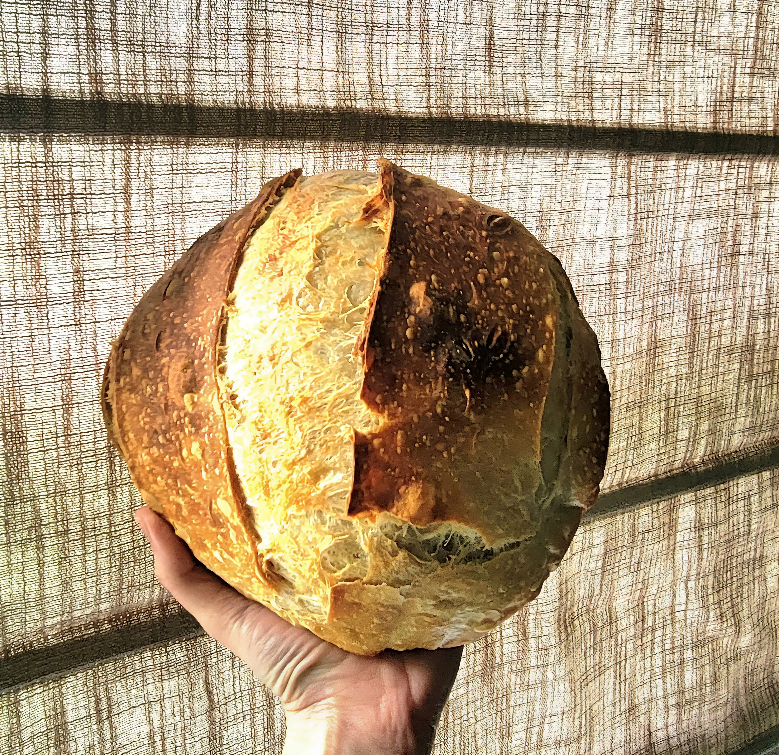 Classic sourdough loaf