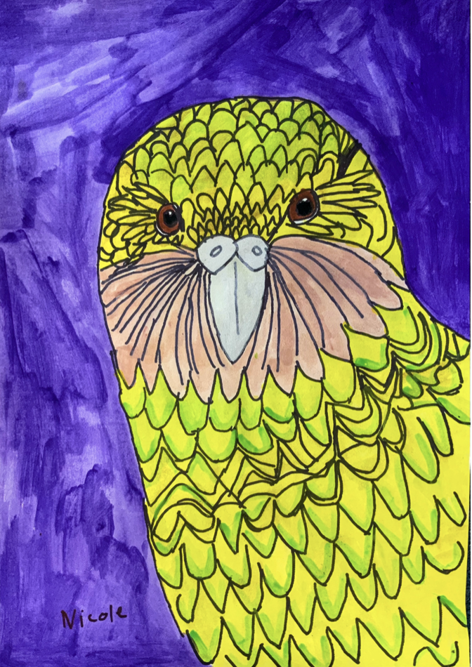 ‘Kea’
Paint and pen on paper
59.4cm x 42cm