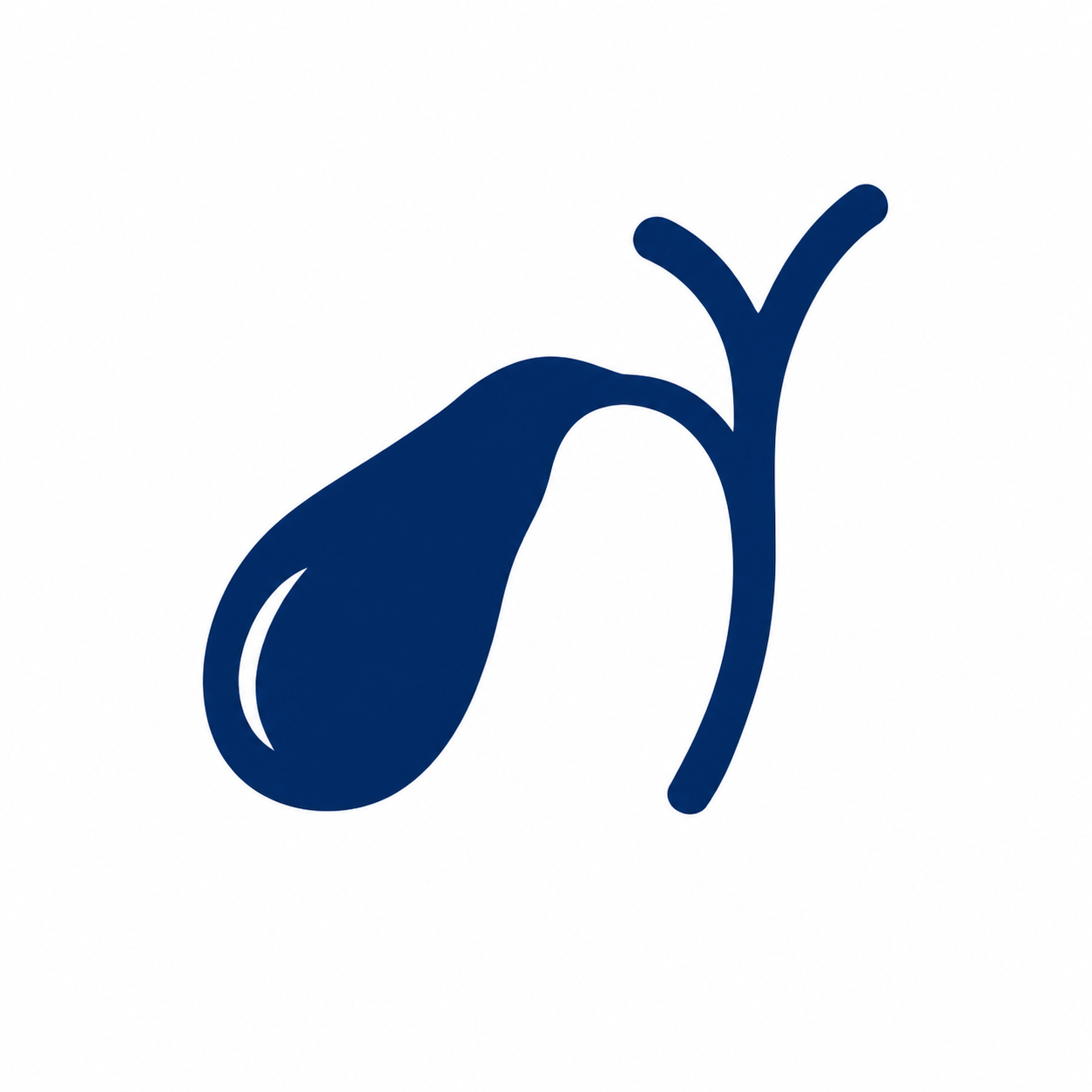 A stylized blue illustration of a gallbladder on a white background.