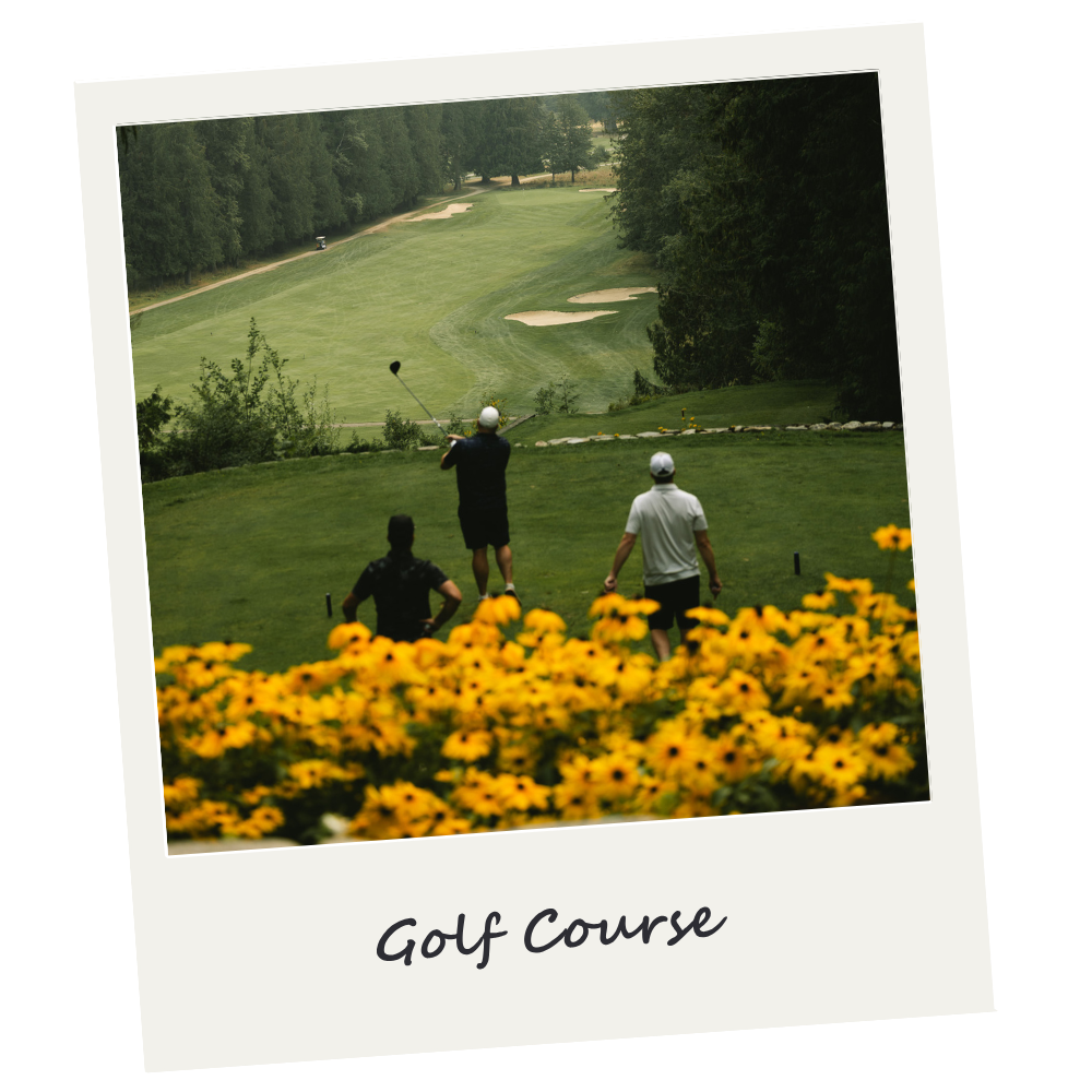 Three men playing golf on a course with a grassy fairway, sand bunkers, trees, and yellow flowers in the foreground.