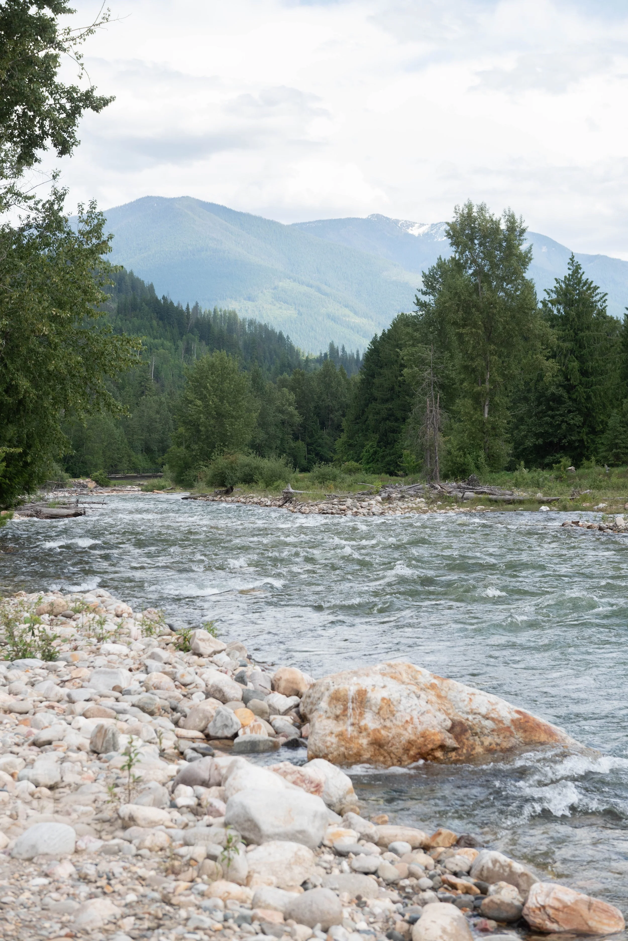 A river flows through a rocky bank surrounded by green trees and dense forest, with mountains in the background under a cloudy sky.