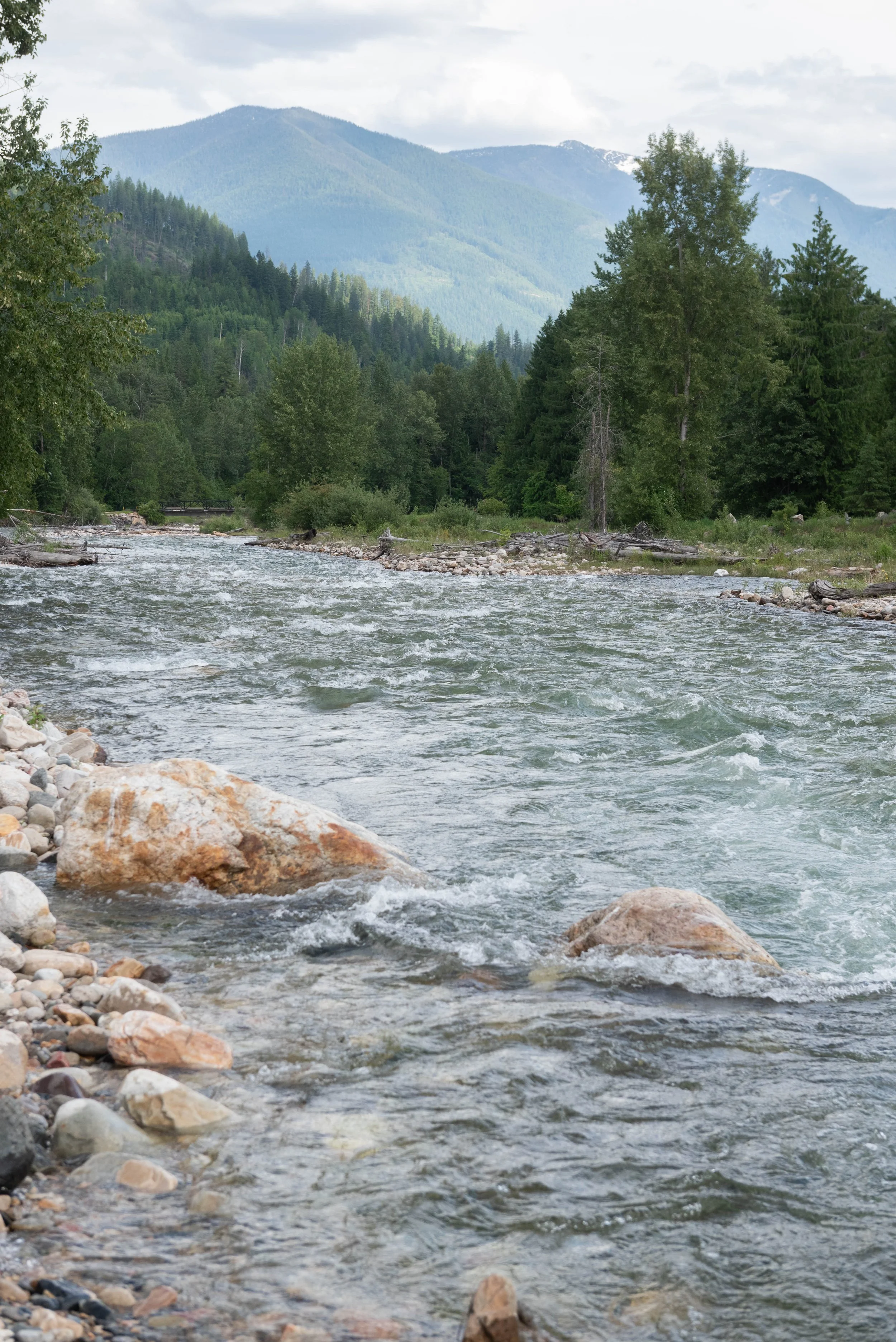 A scenic river flowing over rocks with a backdrop of lush green trees and mountains under a cloudy sky.