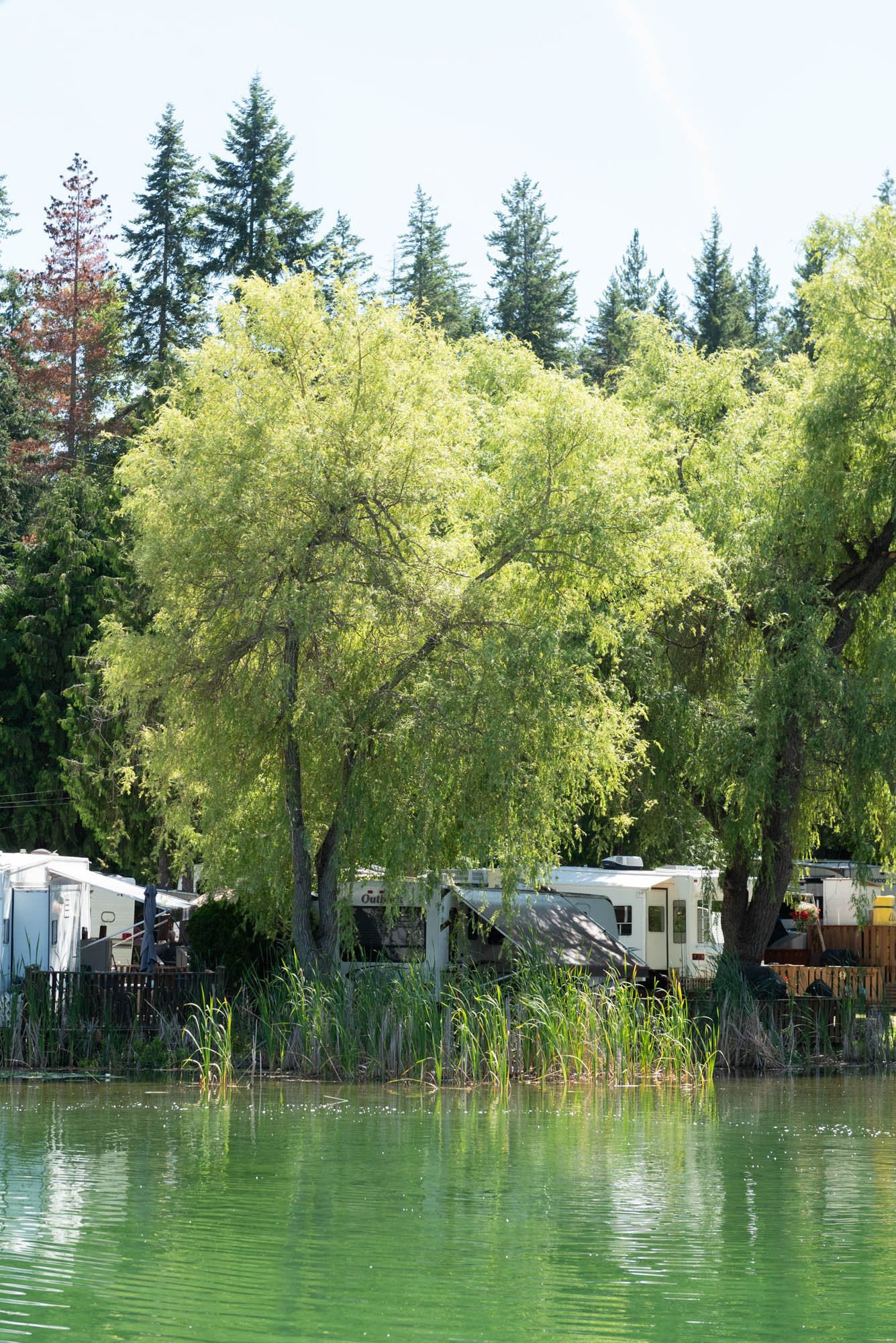 A scenic view of a river with green water, tall trees, and a clear sky. There are some structures, including rv trailers, at the edge of the water.