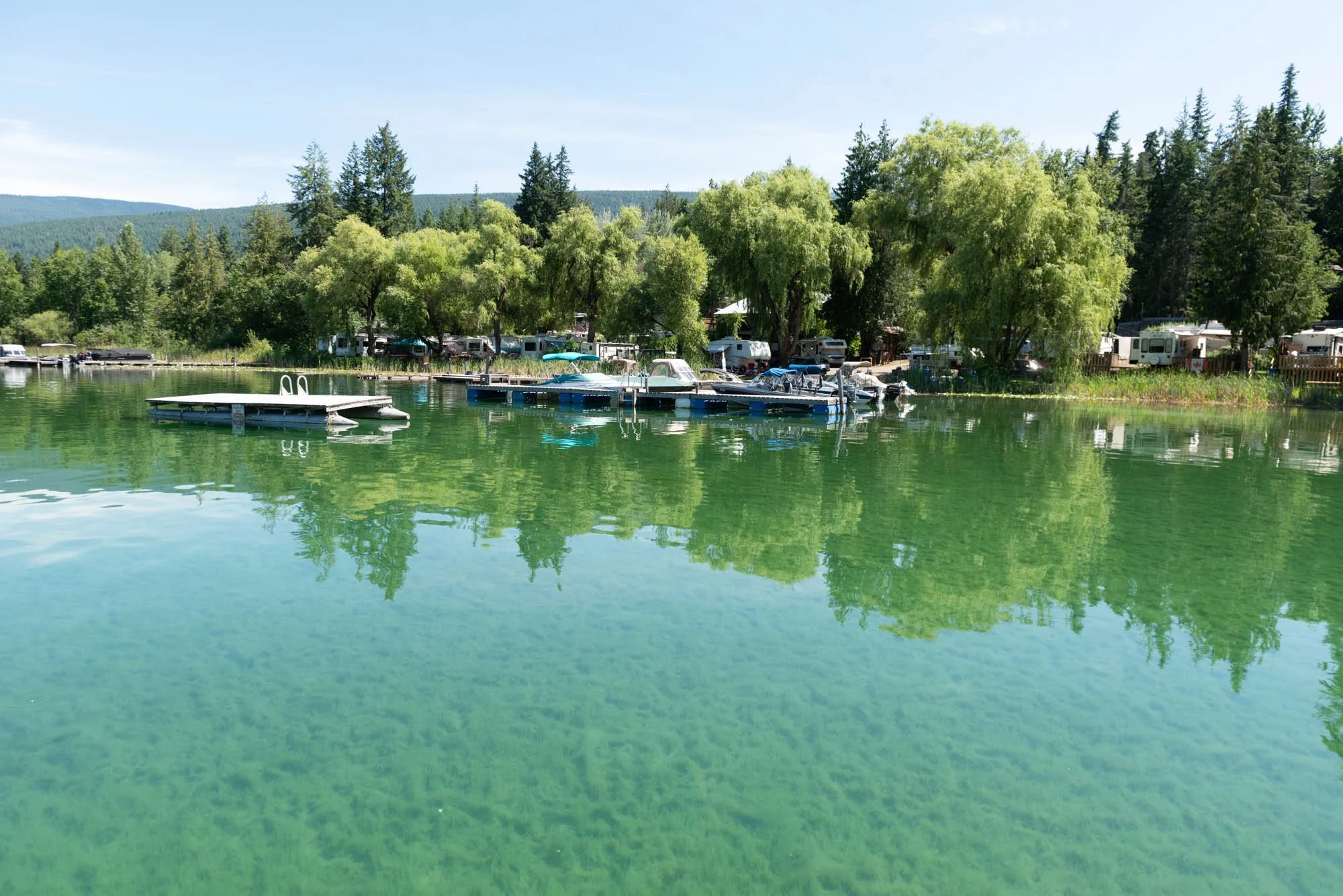 A serene lake scene with green water, boats docked at a pier, surrounded by lush green trees and forested hills in the background, under a clear blue sky.
