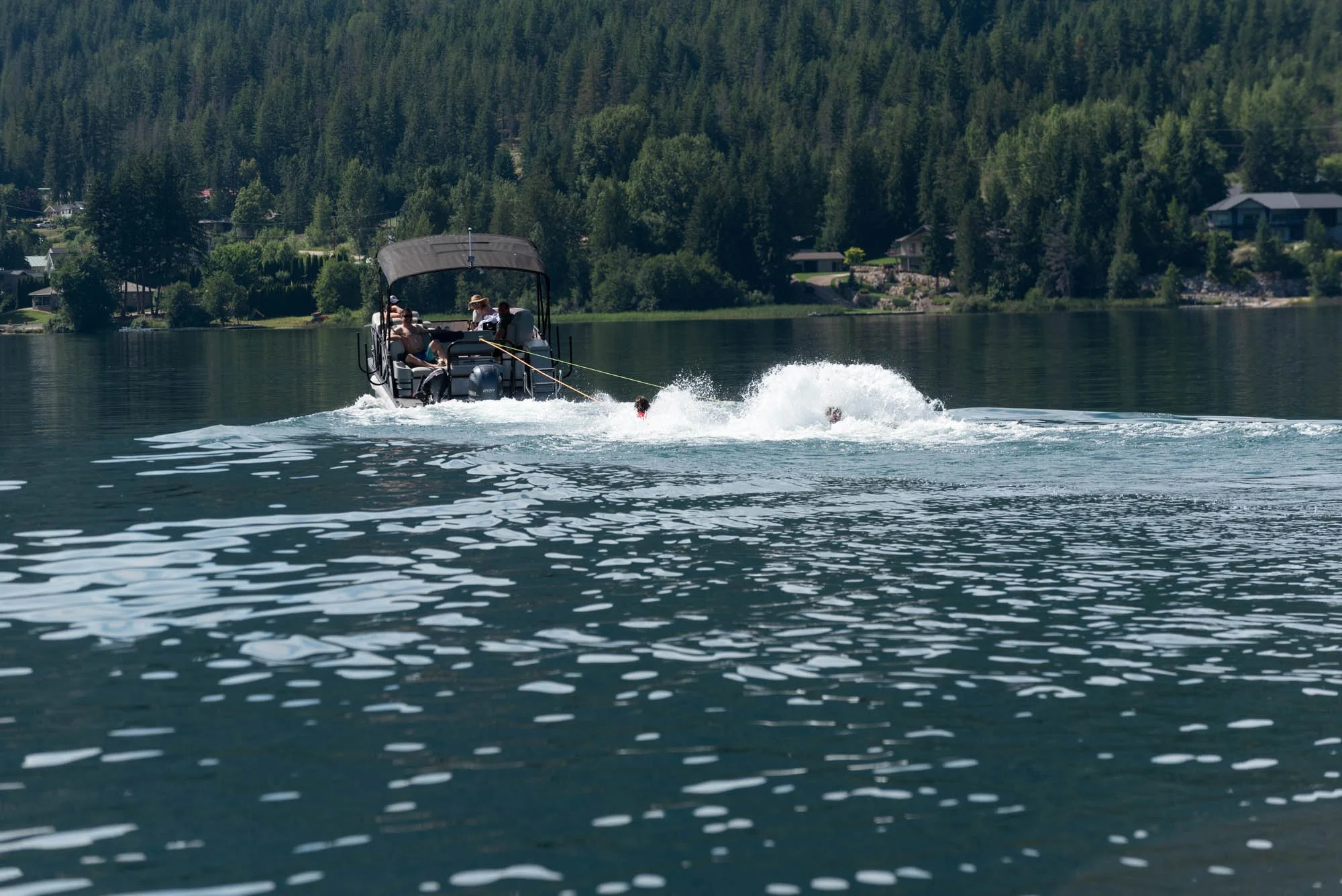 A boat with people water skiing on a lake near a forested area with houses in the background.