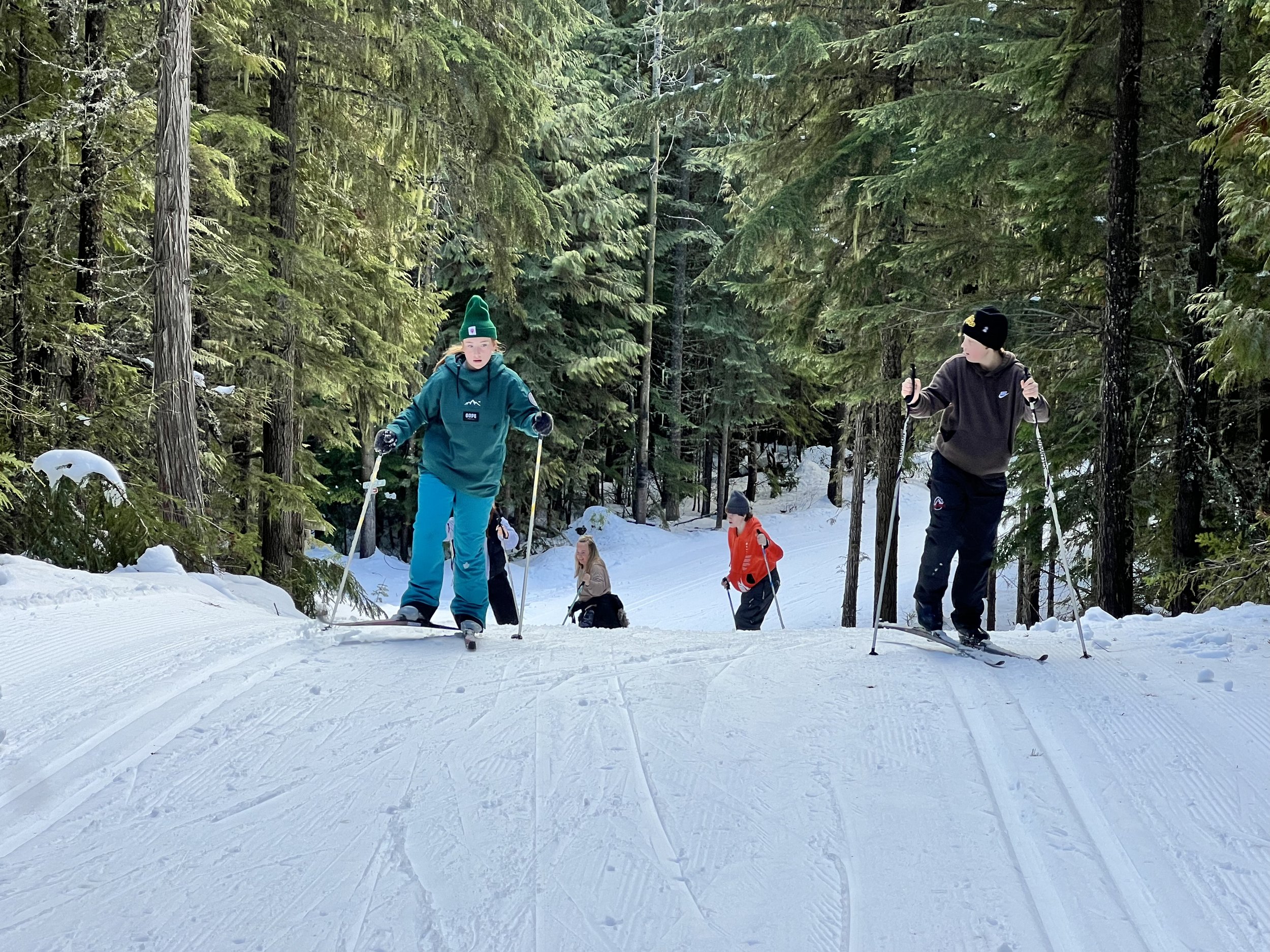 Group of children and teenagers cross-country skiing through a snow-covered forest with tall pine trees.