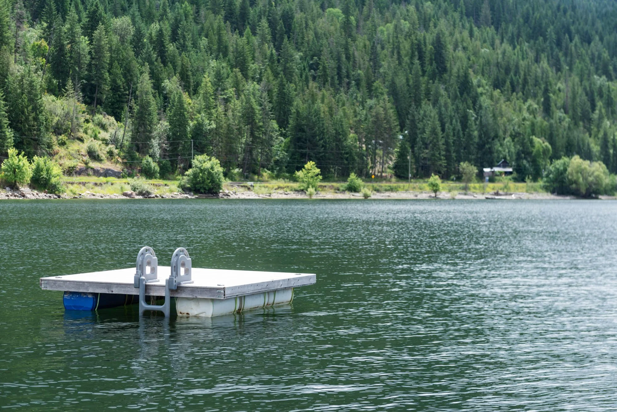 A small dock with a ladder extends into a calm green lake, with a forested hillside covered in green trees in the background.