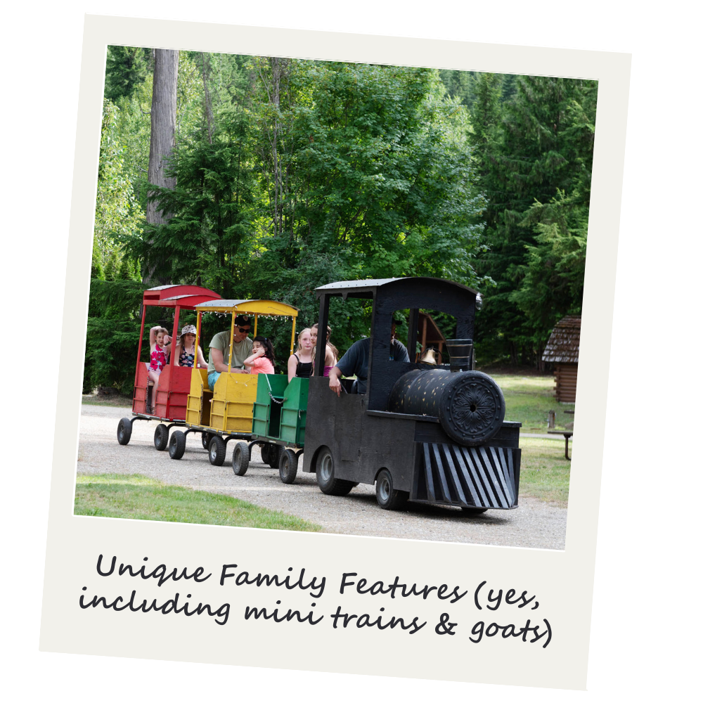 A small black train with a scoop front and several passenger cars painted in red, yellow, and green, carrying children and adults on a track in a wooded area.
