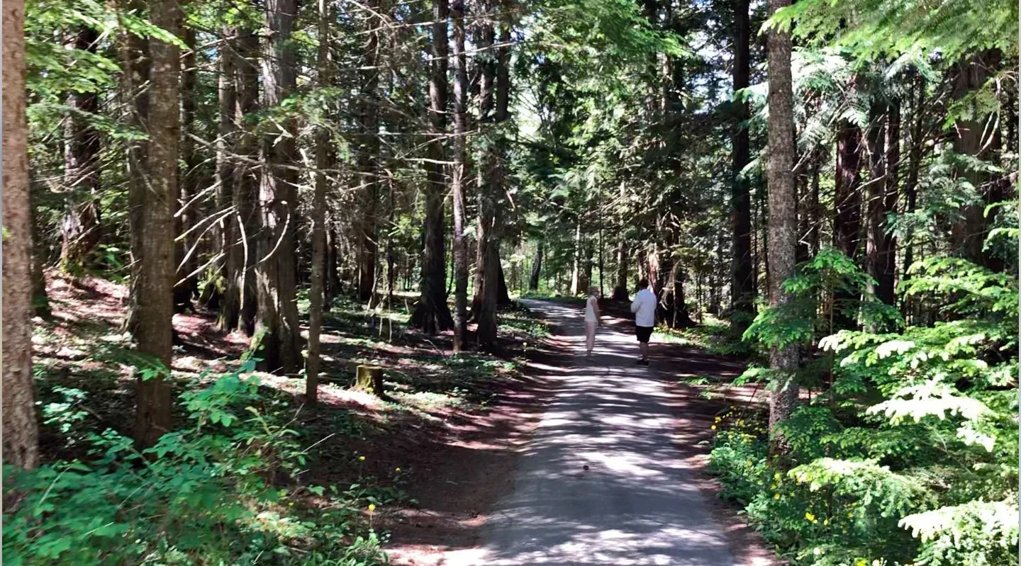 Two people walking on a wooded trail surrounded by tall trees and green foliage