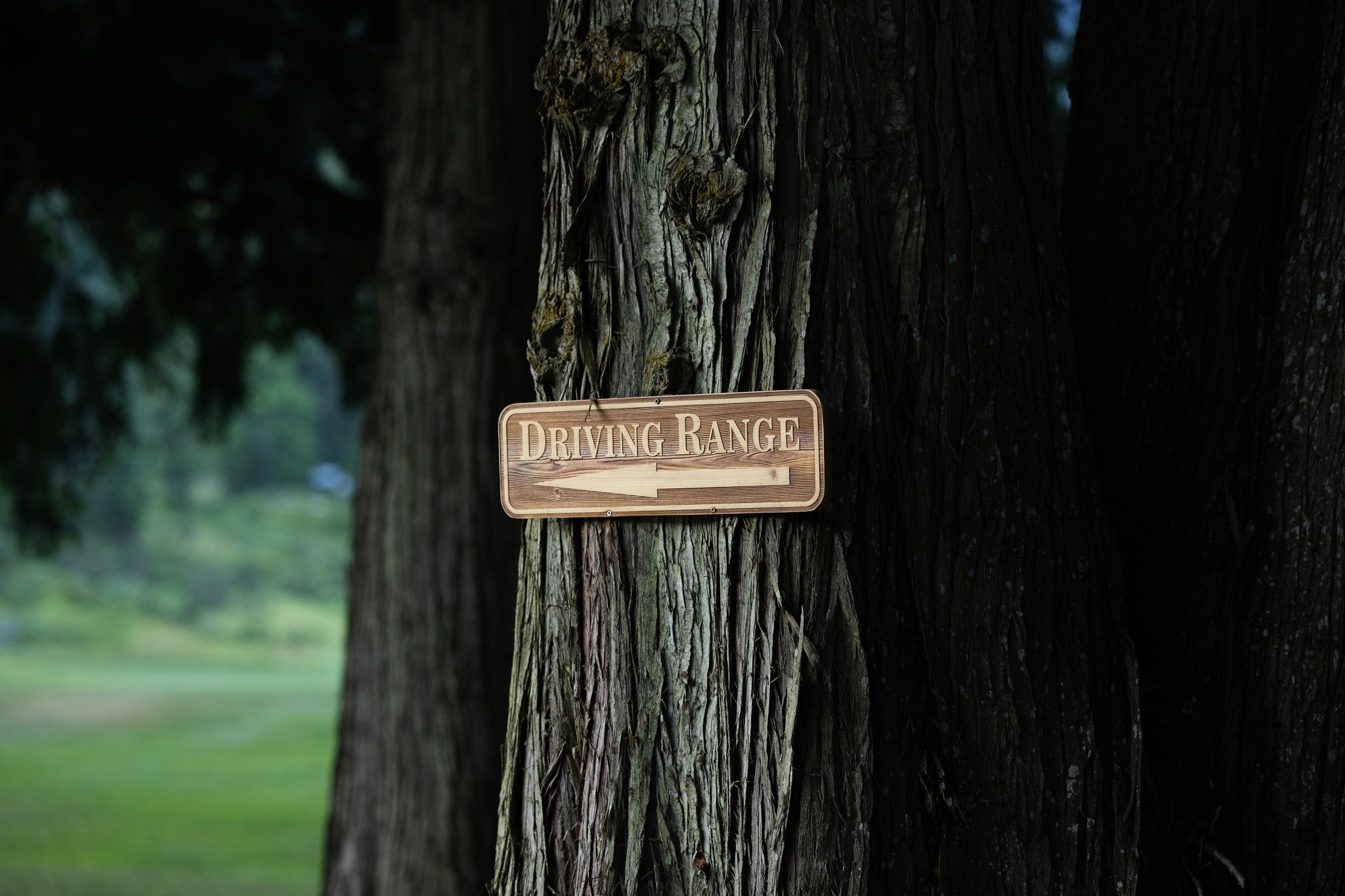 A wooden sign attached to a large tree with the words 'Driving Range' and an arrow pointing to the left, in a park or wooded area.