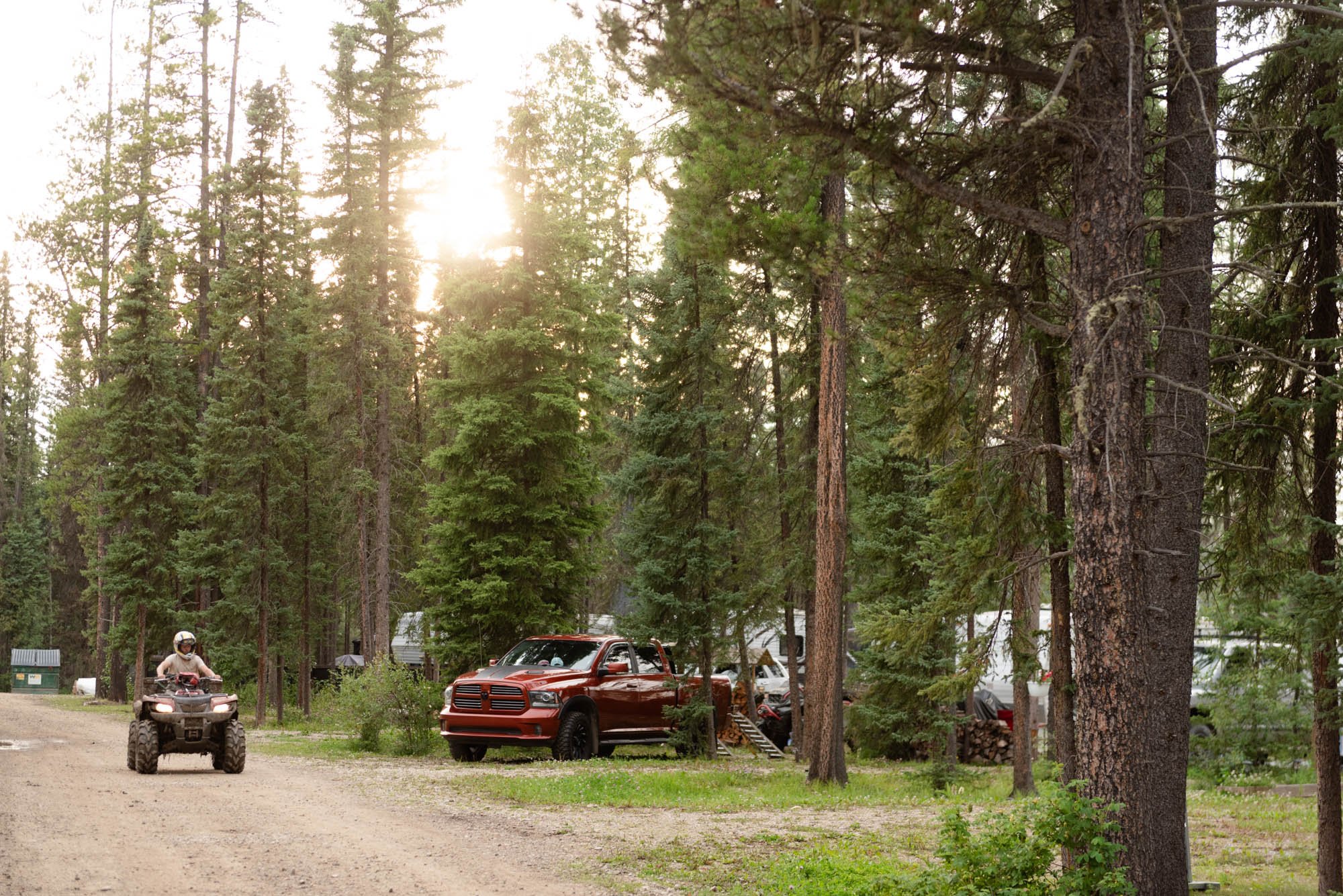A forested parking area with tall pine trees, a person riding an ATV, and a red pickup truck.