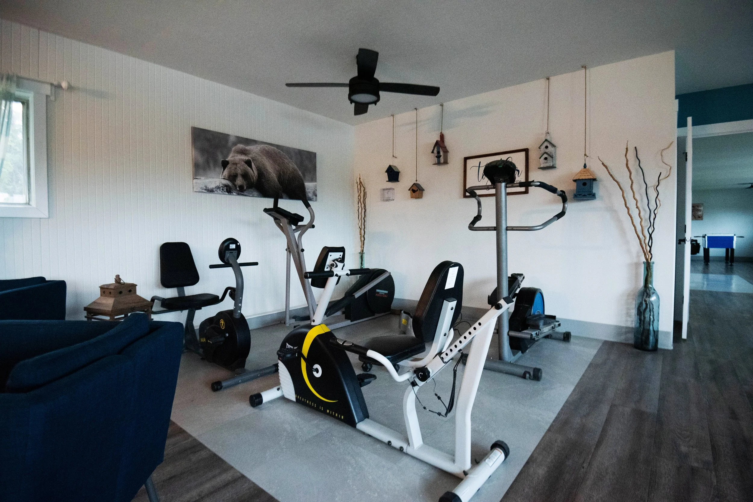 A home gym with exercise equipment including an exercise bike, elliptical machine, and treadmill. There is a large bear photo on the wall and decorative birdhouses hanging from the ceiling. A black ceiling fan is also visible.