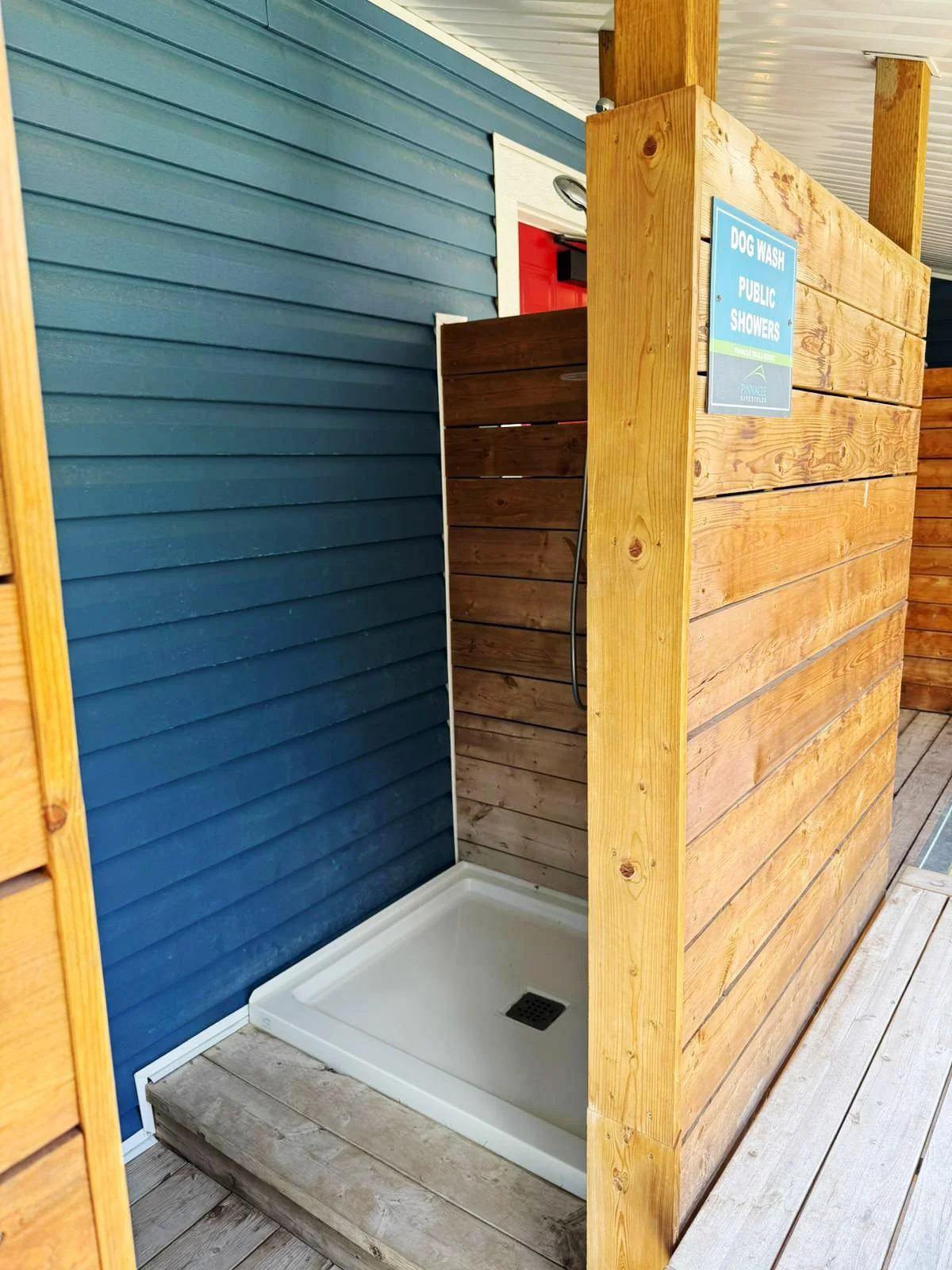 Outdoor dog wash station with a blue wall, wooden privacy fencing, and a white shower tray with a drain.
