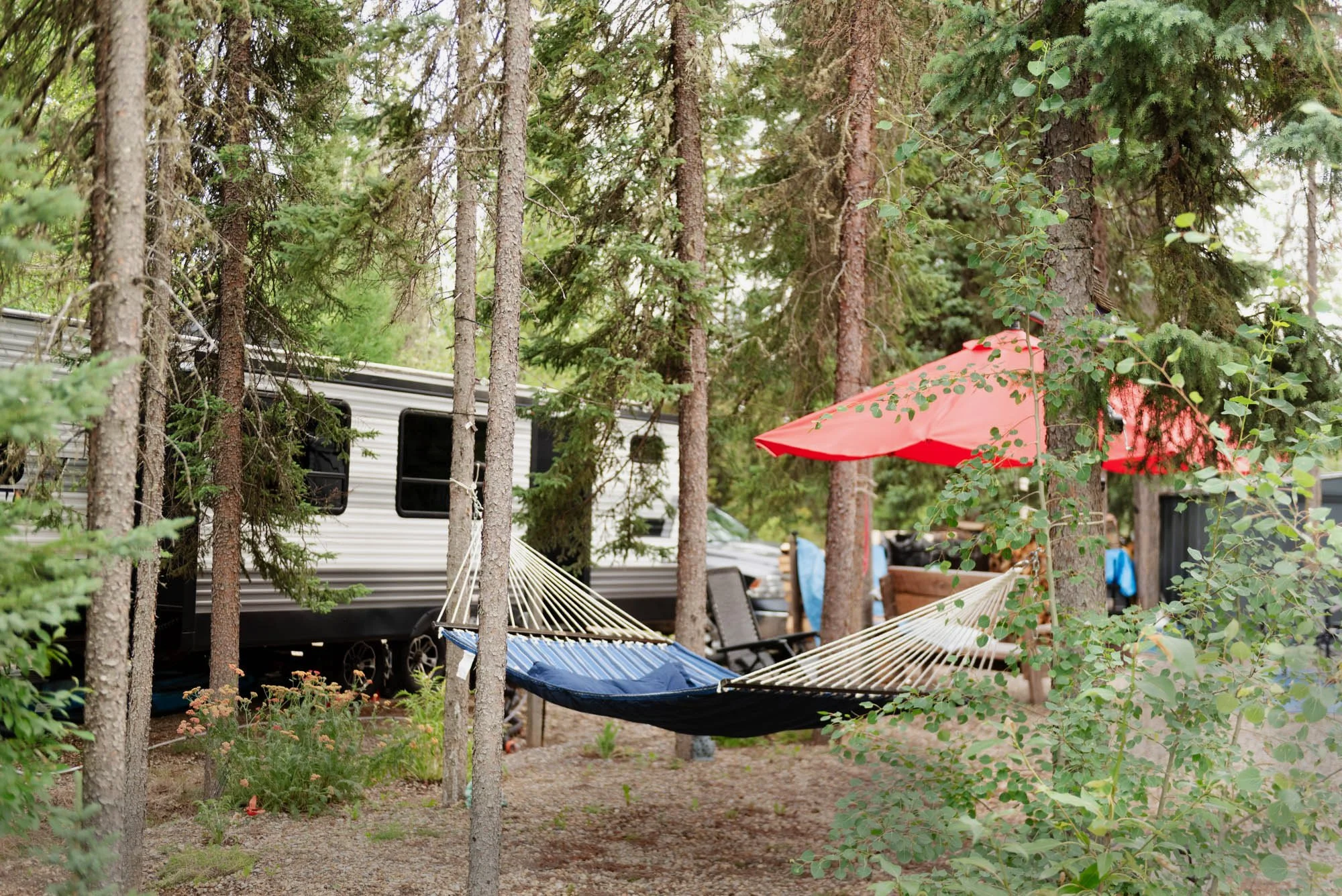 A forested campsite with tall pine trees, a red umbrella, two hammock chairs, and a white travel trailer in the background.