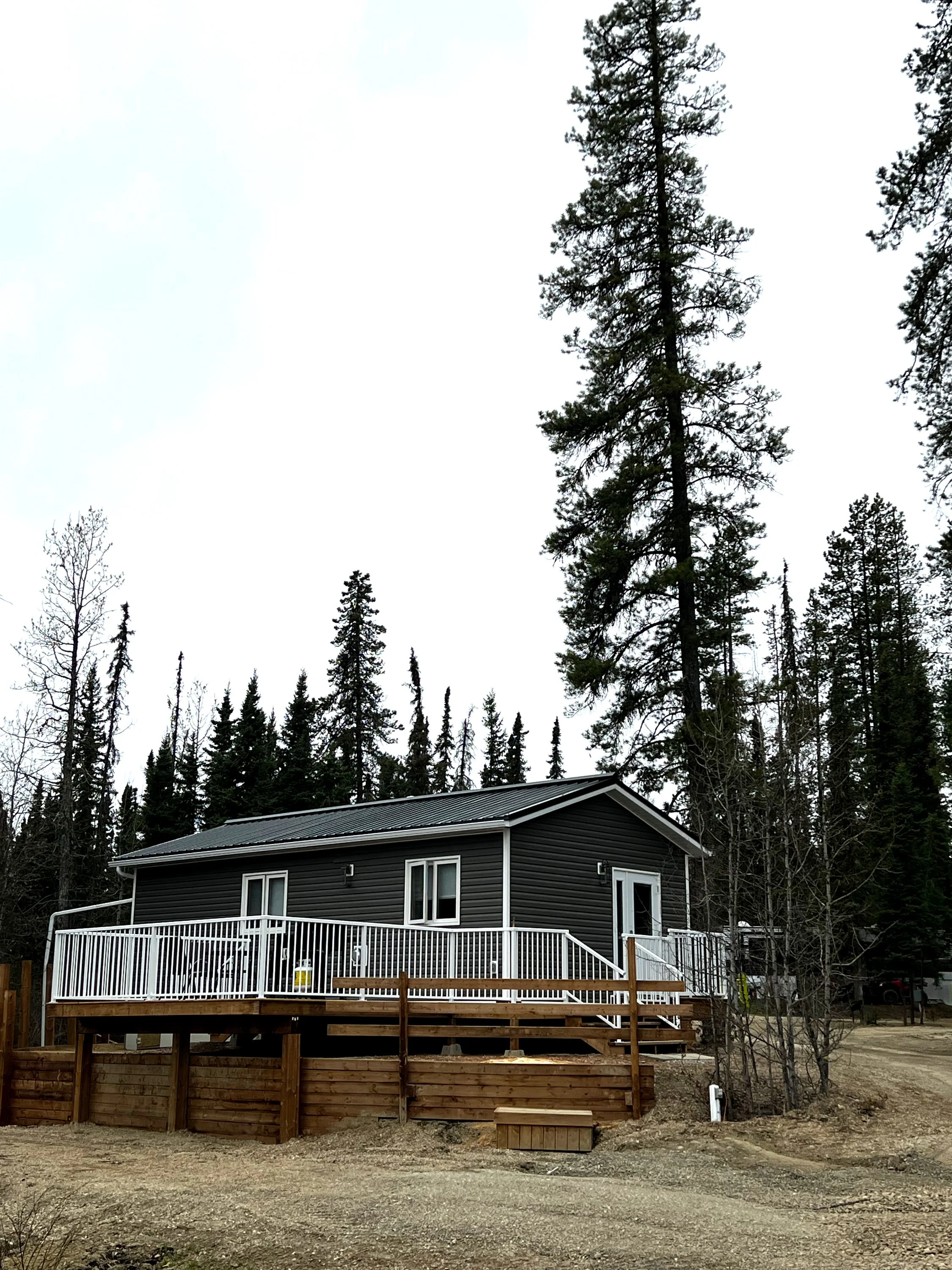 A new gray house with white trim and a deck with a white railing, surrounded by tall pine trees under an overcast sky.