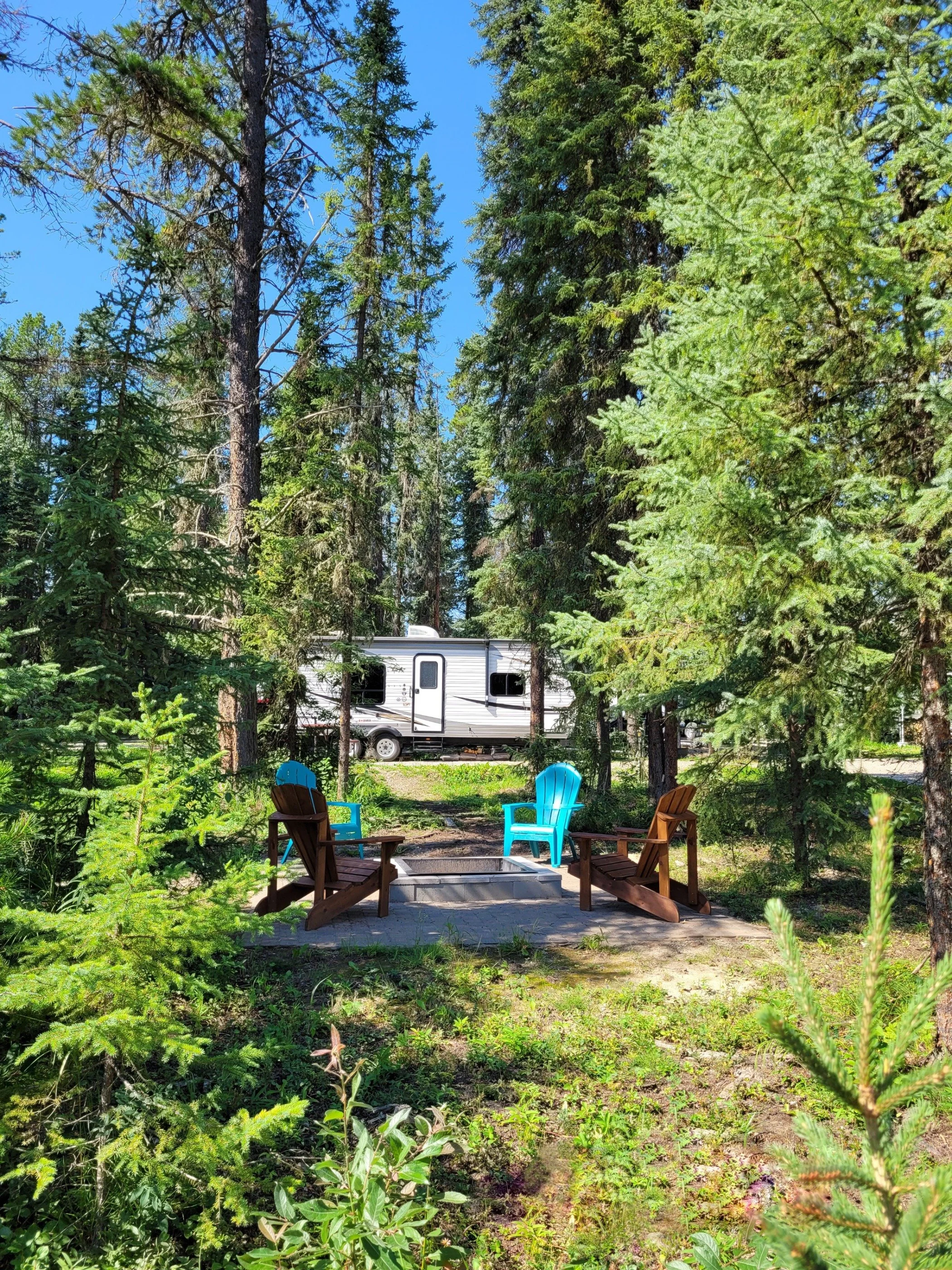 A camping site with four Adirondack chairs around a fire pit, surrounded by tall green pine trees, with a trailer visible in the background and a blue sky above.