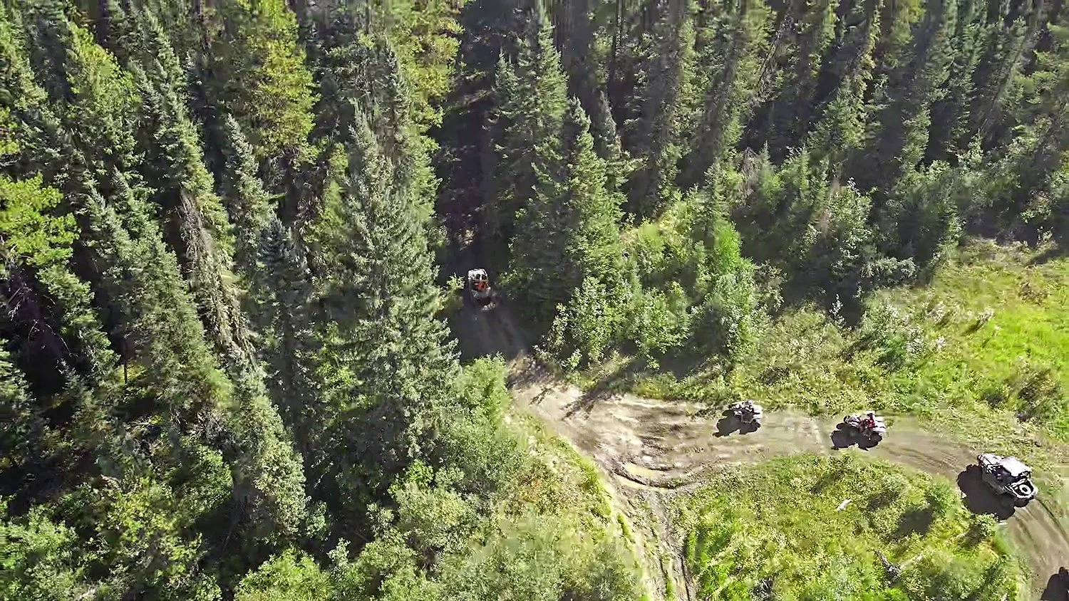An aerial view of a group of off-road vehicles driving on a dirt trail through a dense forest of tall green pine trees.