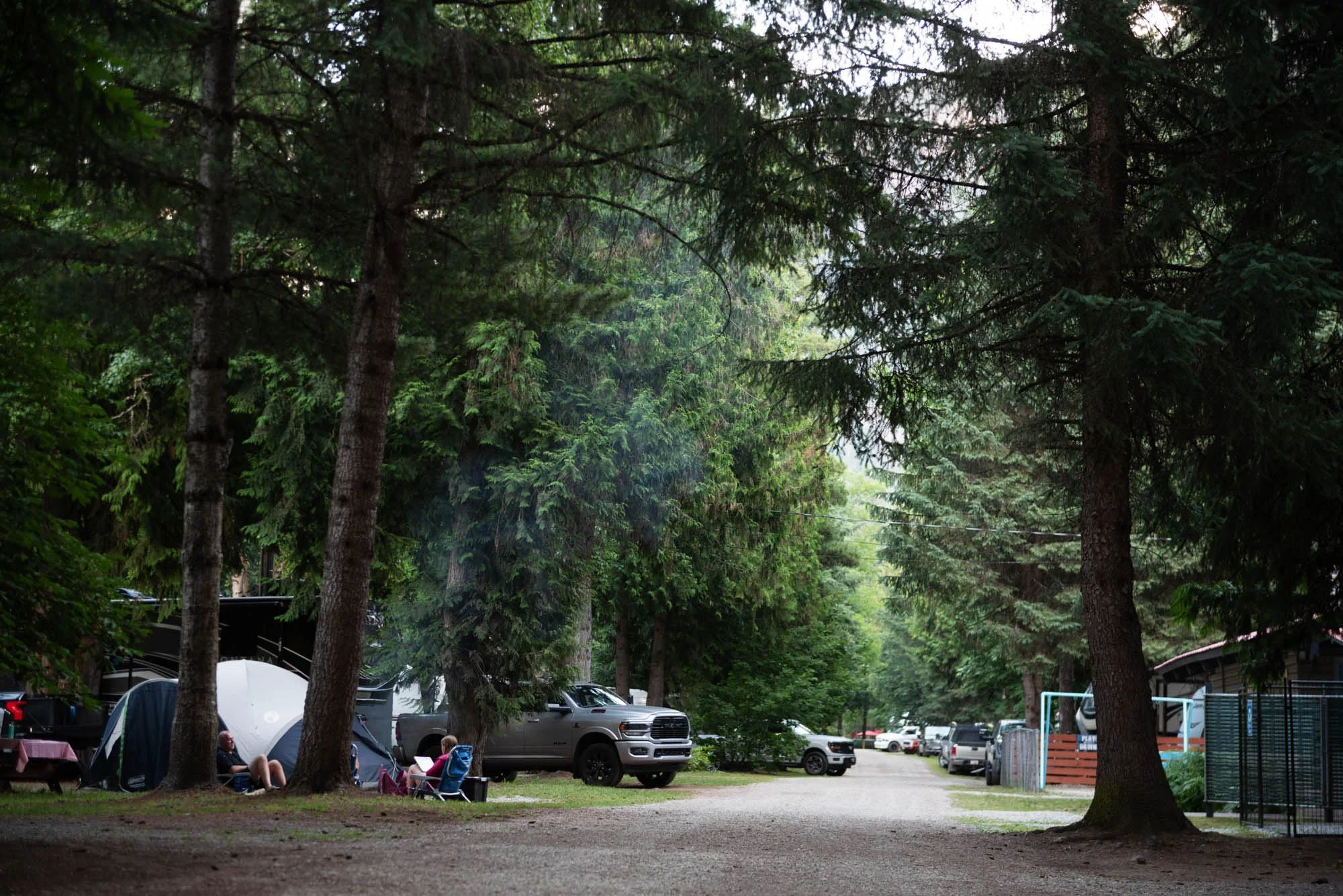 A campground surrounded by tall pine trees, with tents, parked cars, and a playground visible among the trees.