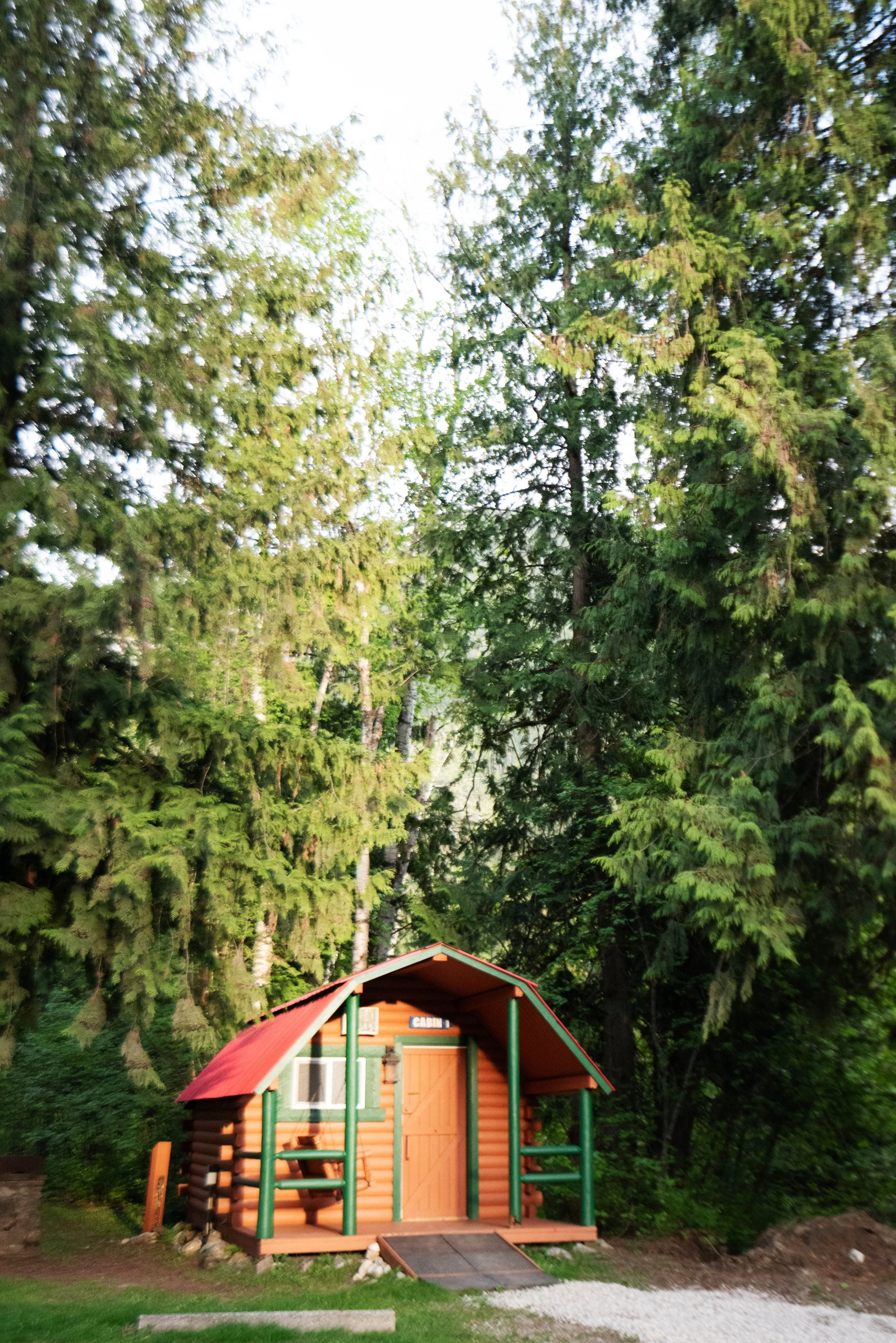 A small wooden cabin with a red roof and a sign that says 'CABIN' is located in a forested area, surrounded by tall green trees.