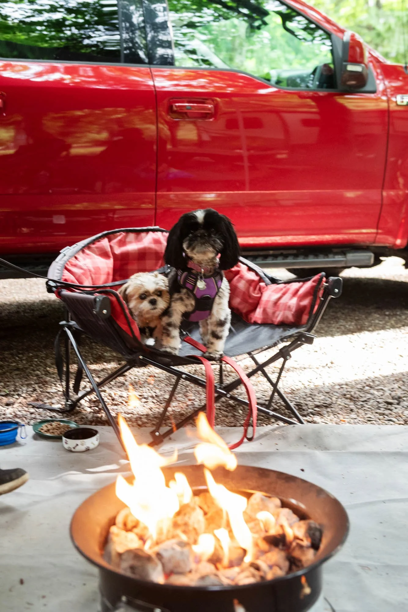 Two dogs sitting in a pink pet stroller with a red truck in the background and a campfire in the foreground.