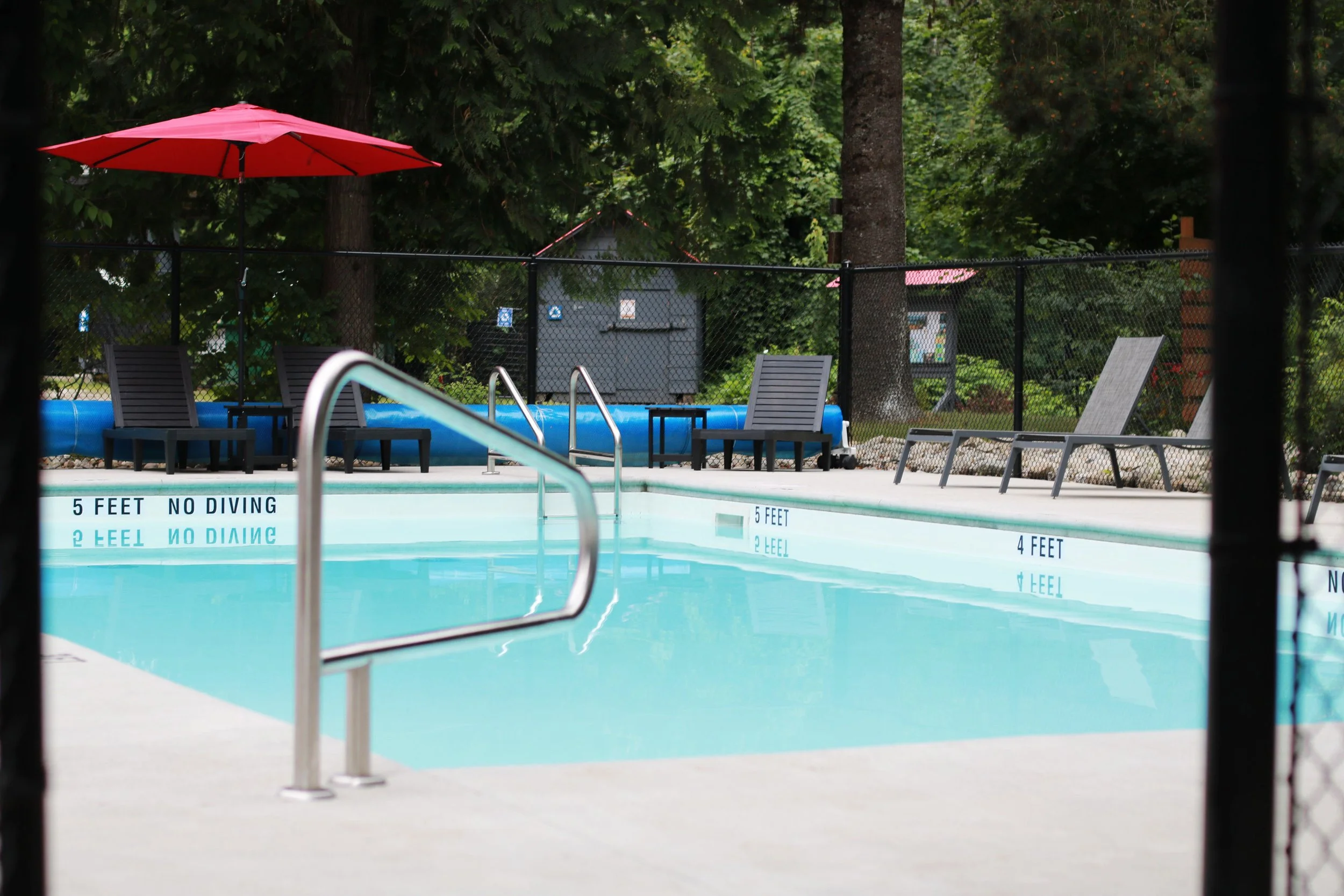 Empty swimming pool with ladder, chairs, and a red umbrella, surrounded by trees and a black fence.