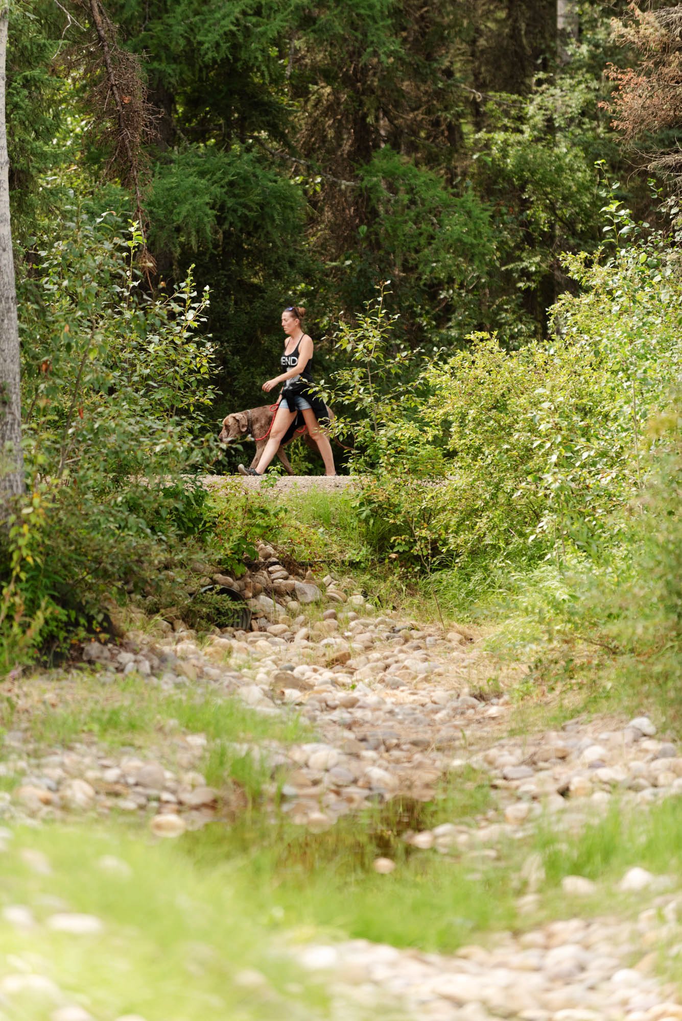 Young woman walking her dog on a trail through a dense forest with green trees and shrubs.