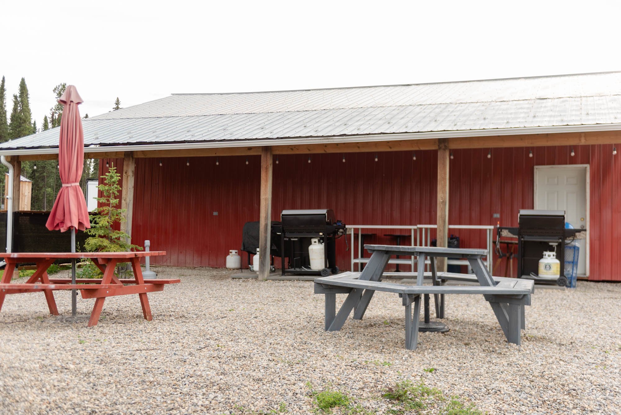 Backyard with picnic tables, grill, propane tanks, and a red barn with string lights, surrounded by trees.