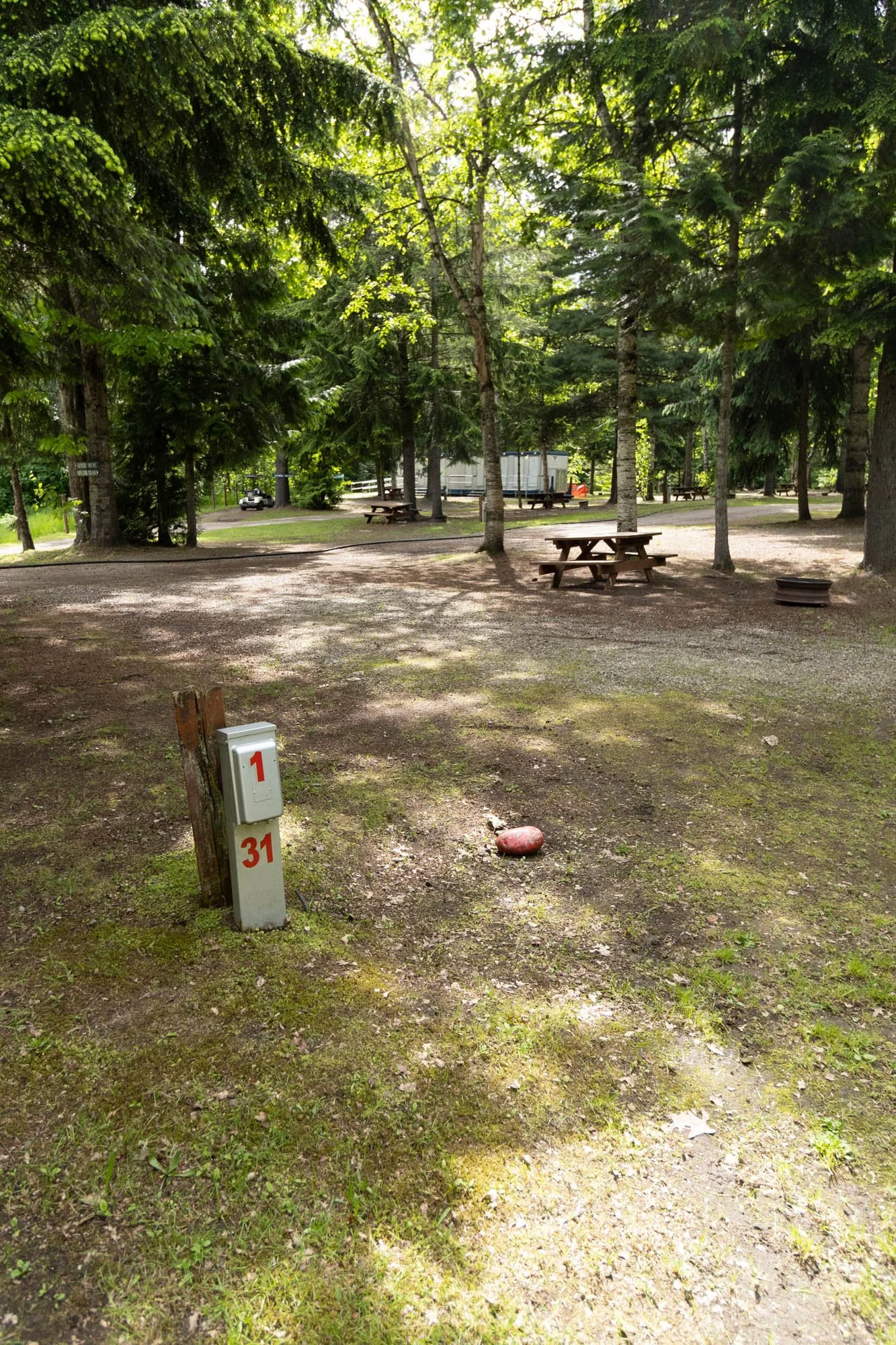 IMG_7425.jpg