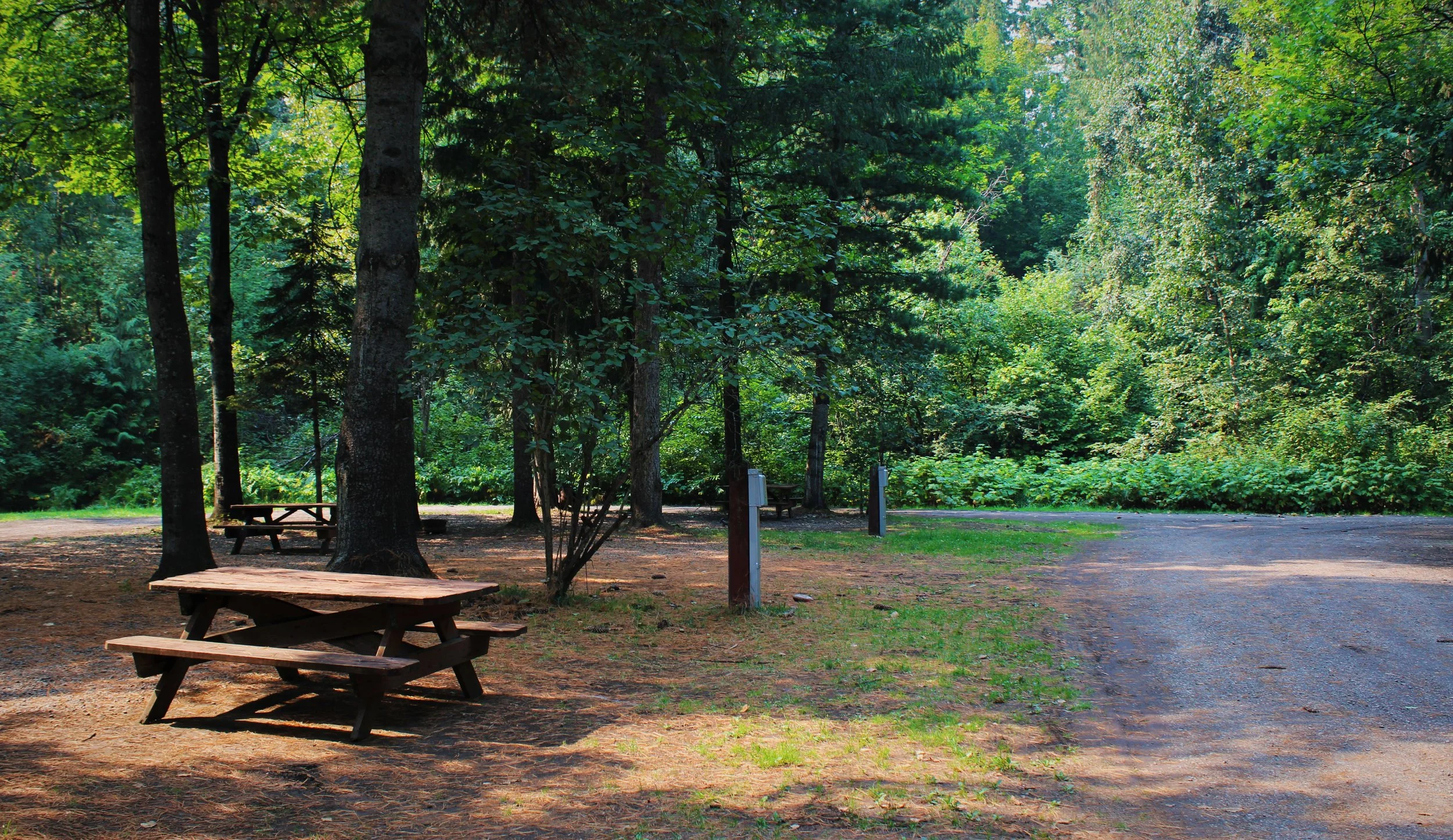 A wooded park with a dirt path, several trees, picnic tables, and a parking lot visible in the background.