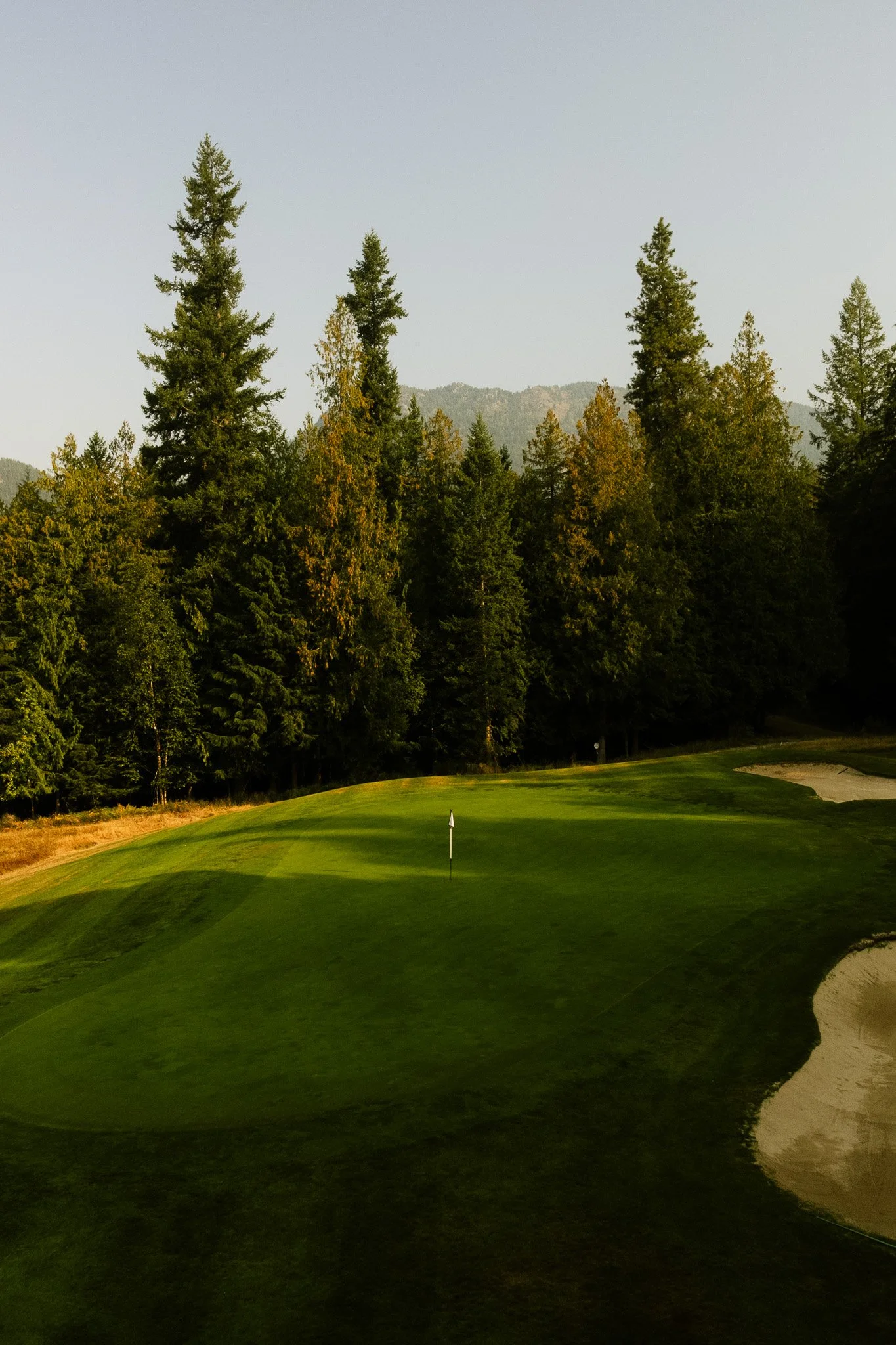 A golf course with a green, flagstick, and sand bunker, surrounded by tall trees and distant mountains.