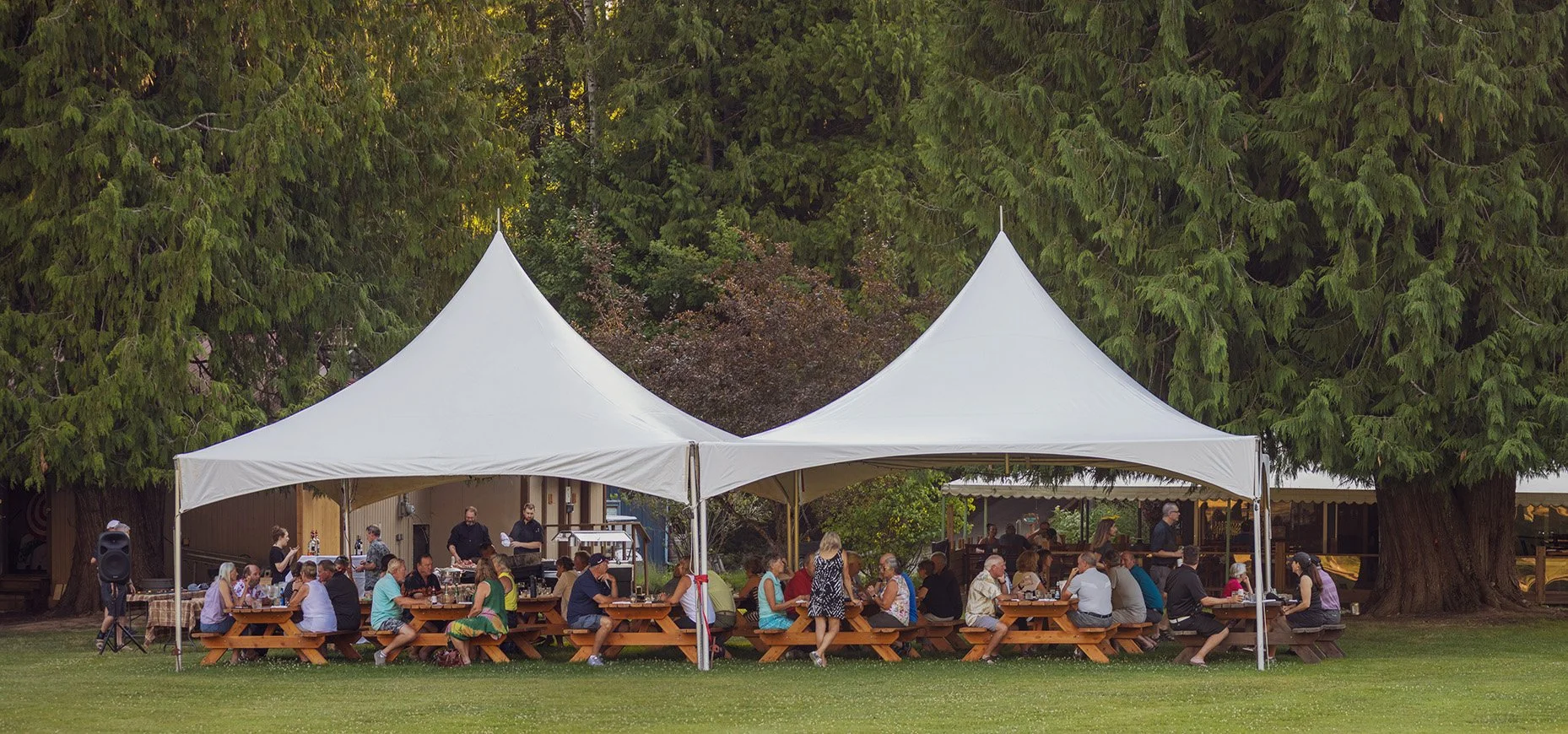 A large outdoor gathering under two white canopy tents with people seated at picnic tables on a grassy area, surrounded by tall green trees.
