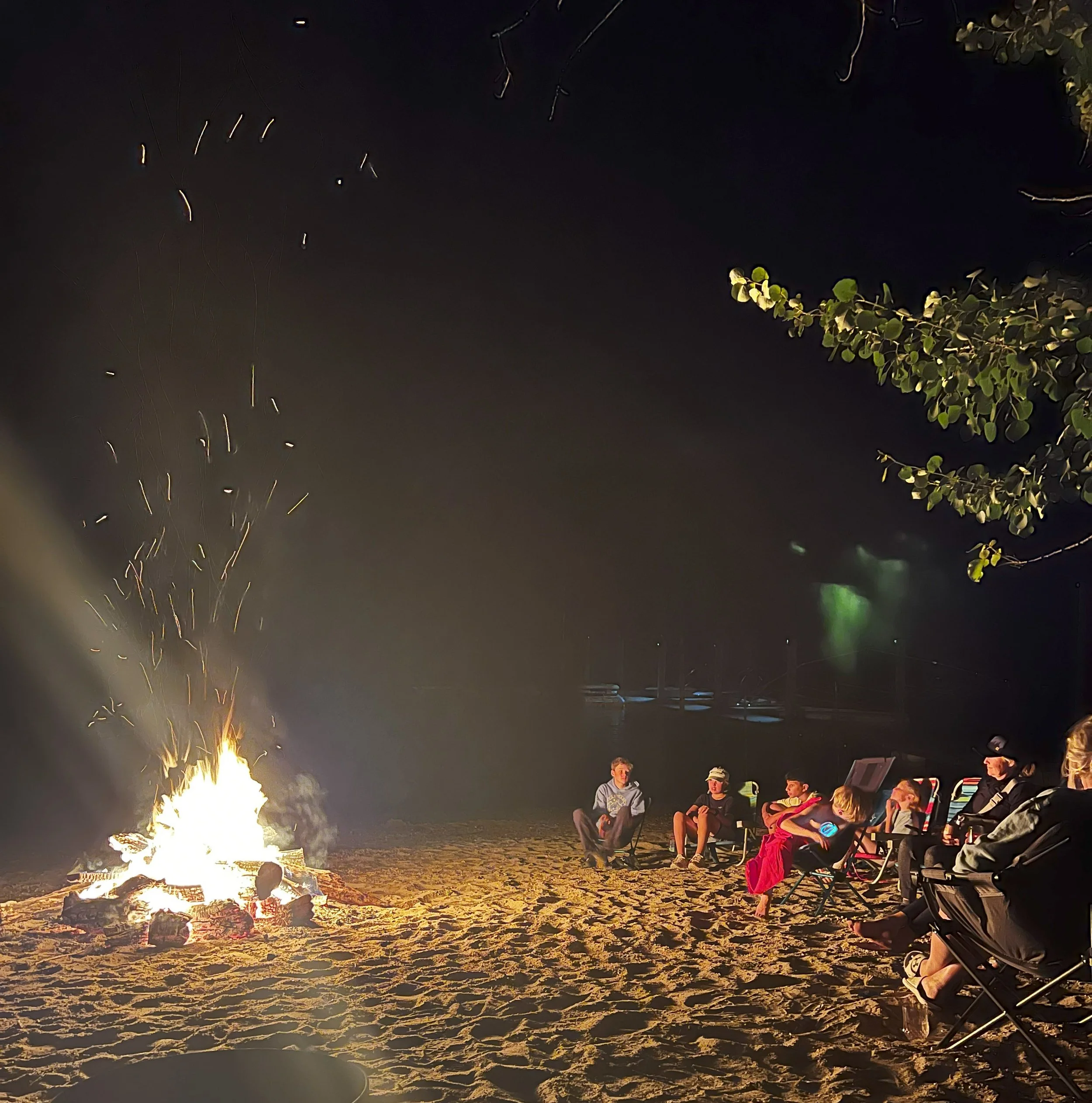People sitting around a campfire on a sandy beach at night, with trees and dark sky in the background.