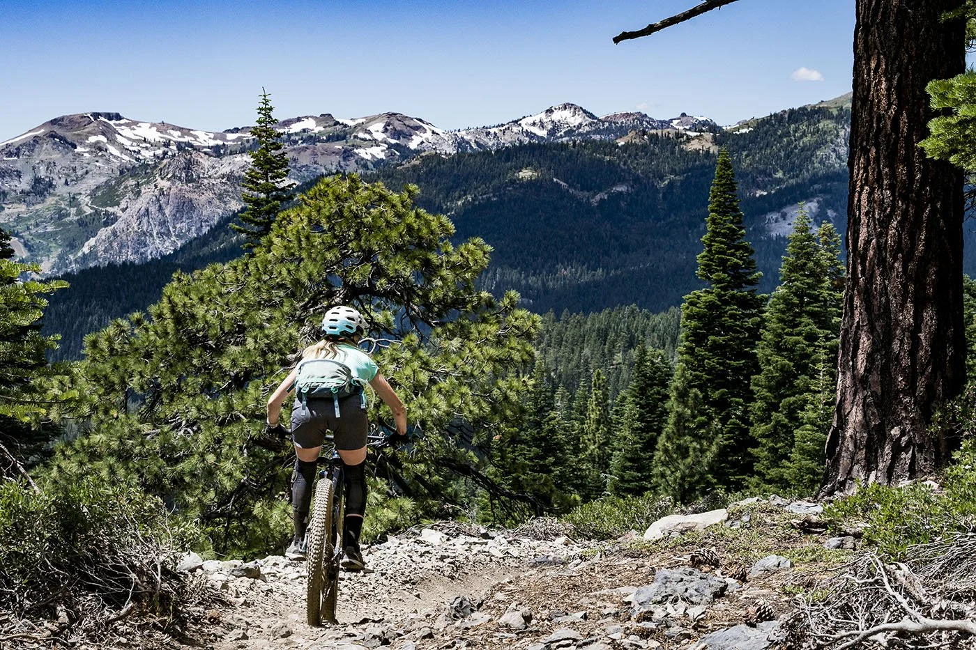A person mountain biking on a rocky trail through a pine forest in a mountainous area with snow-capped peaks in the background.