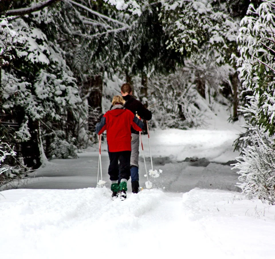 Two people snowshoeing on a snow-covered trail through a forest with snow-laden trees.