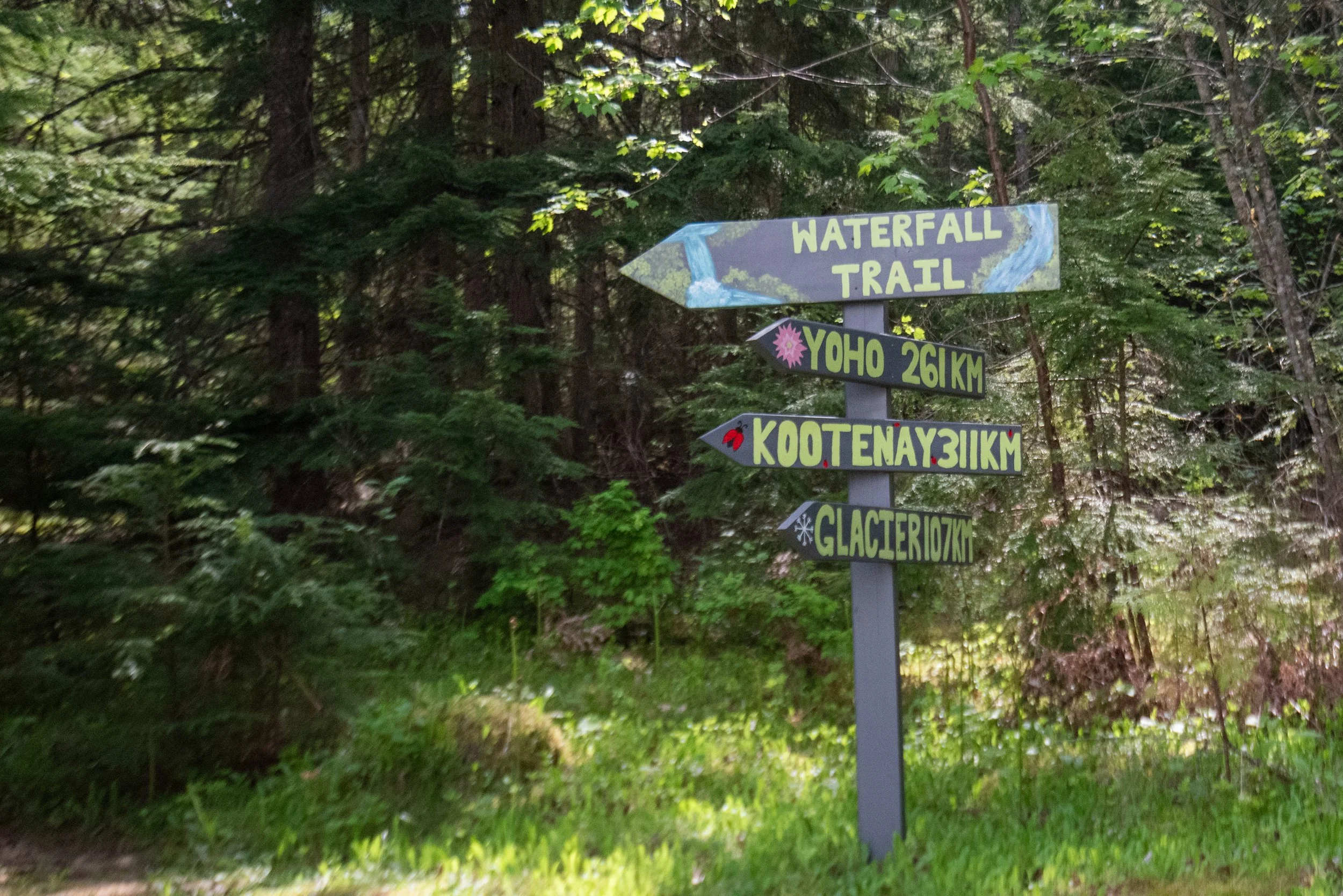 Wooden trail signs in a forest pointing to Waterfall Trail, Yoho, Kootenay, and Glacier. trees and greenery surround the signs.