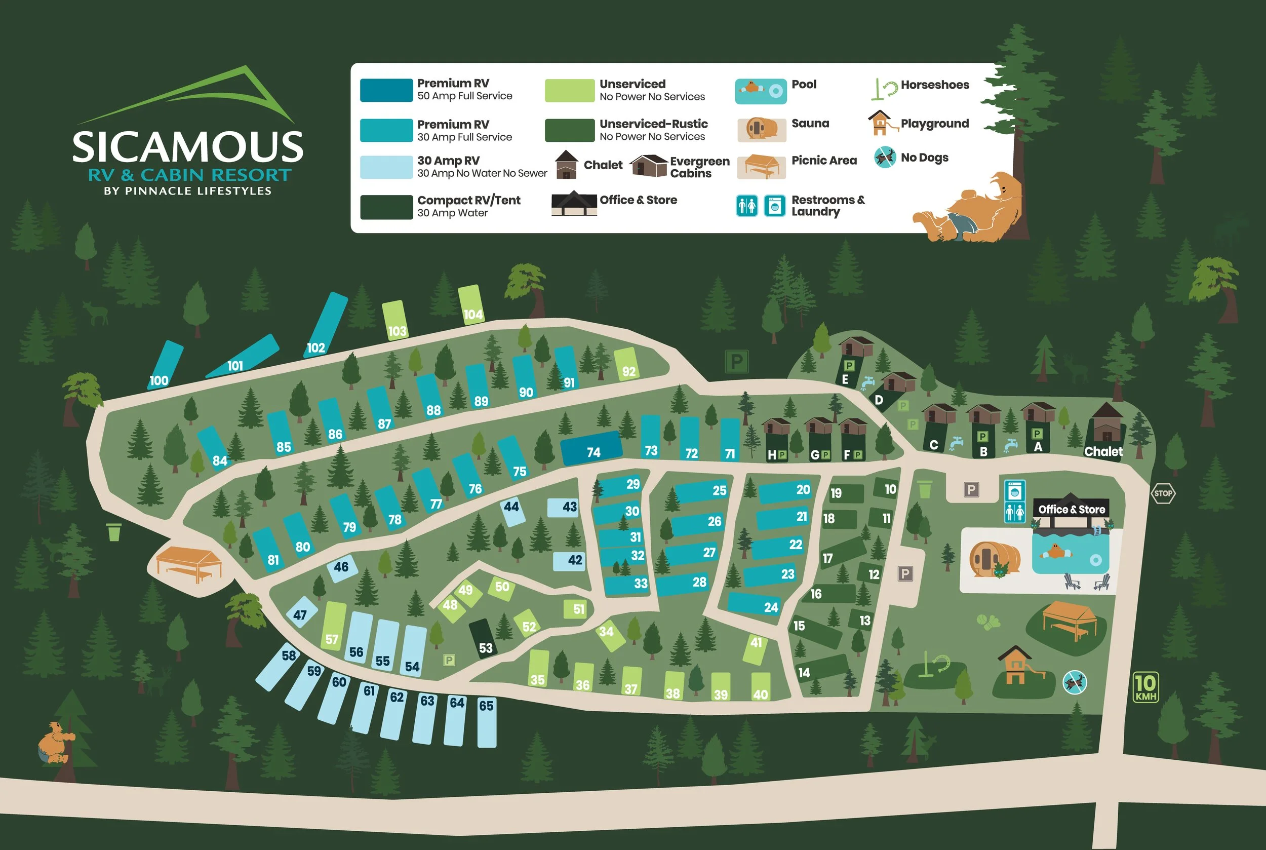 A detailed campground map showing numbered camping sites, amenities like restrooms, laundry, office, store, and various facilities including pools, horseshoes, playground, sauna, picnic area, and dog restrictions, surrounded by a forest background.