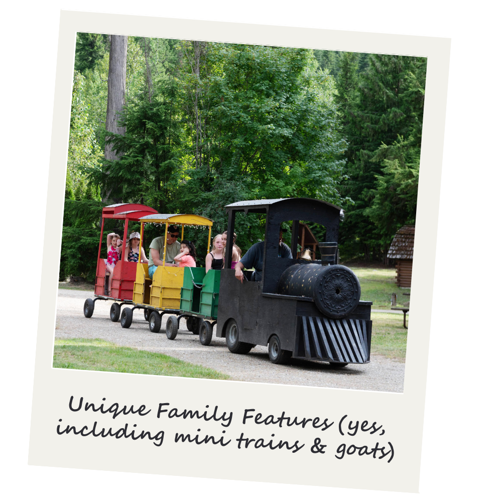 A small black train with a scoop front and several passenger cars painted in red, yellow, and green, carrying children and adults on a track in a wooded area.