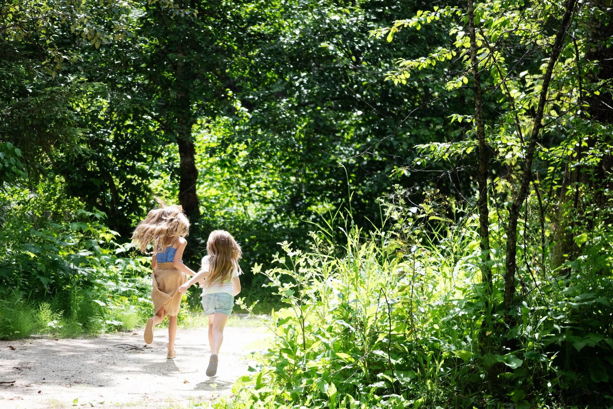 Three young girls with blonde hair running hand-in-hand through a lush green forest path on a sunny day.