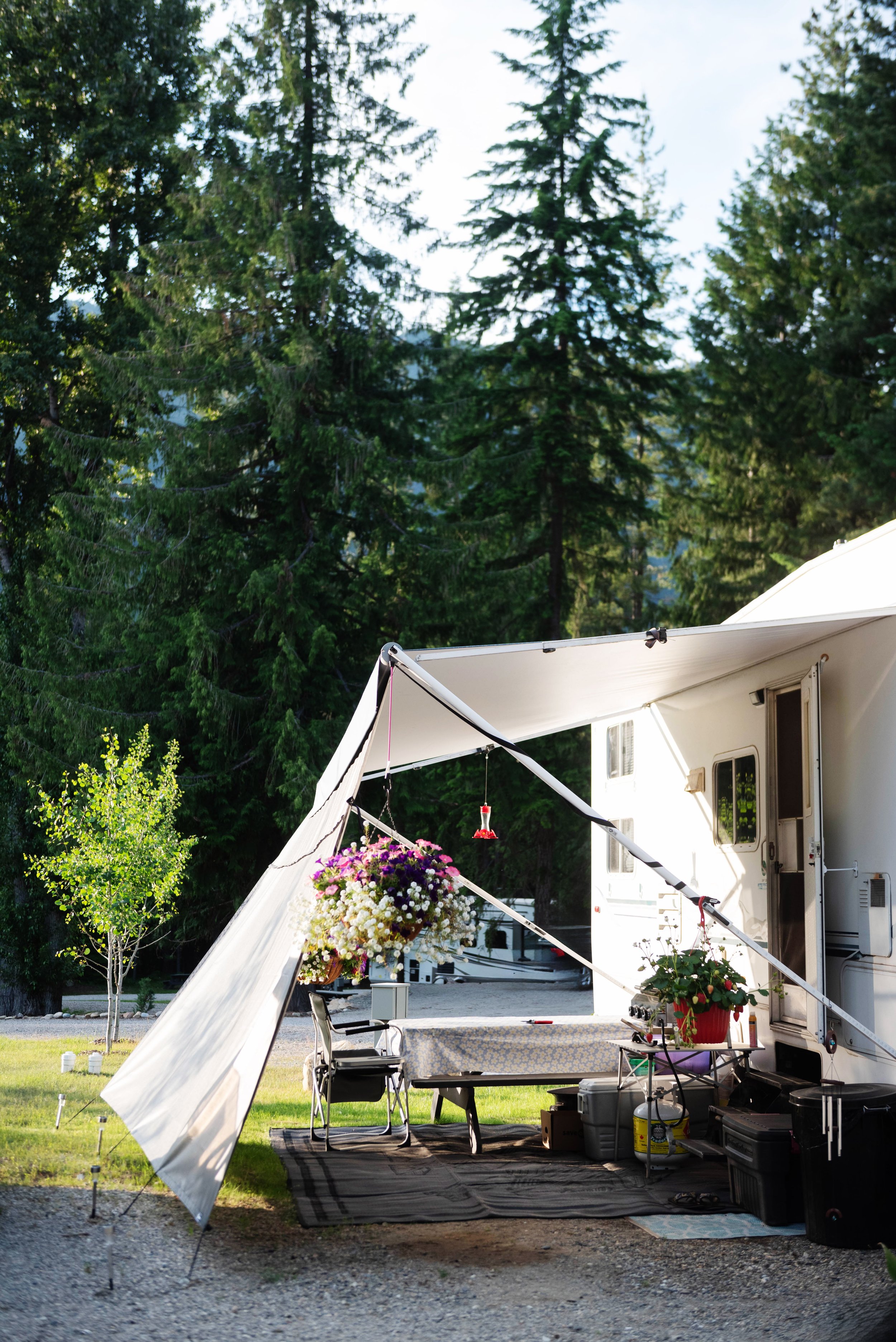A view of a camping area with a white camper trailer and a canopy tent, decorated with hanging flower baskets and chairs, surrounded by tall green trees.