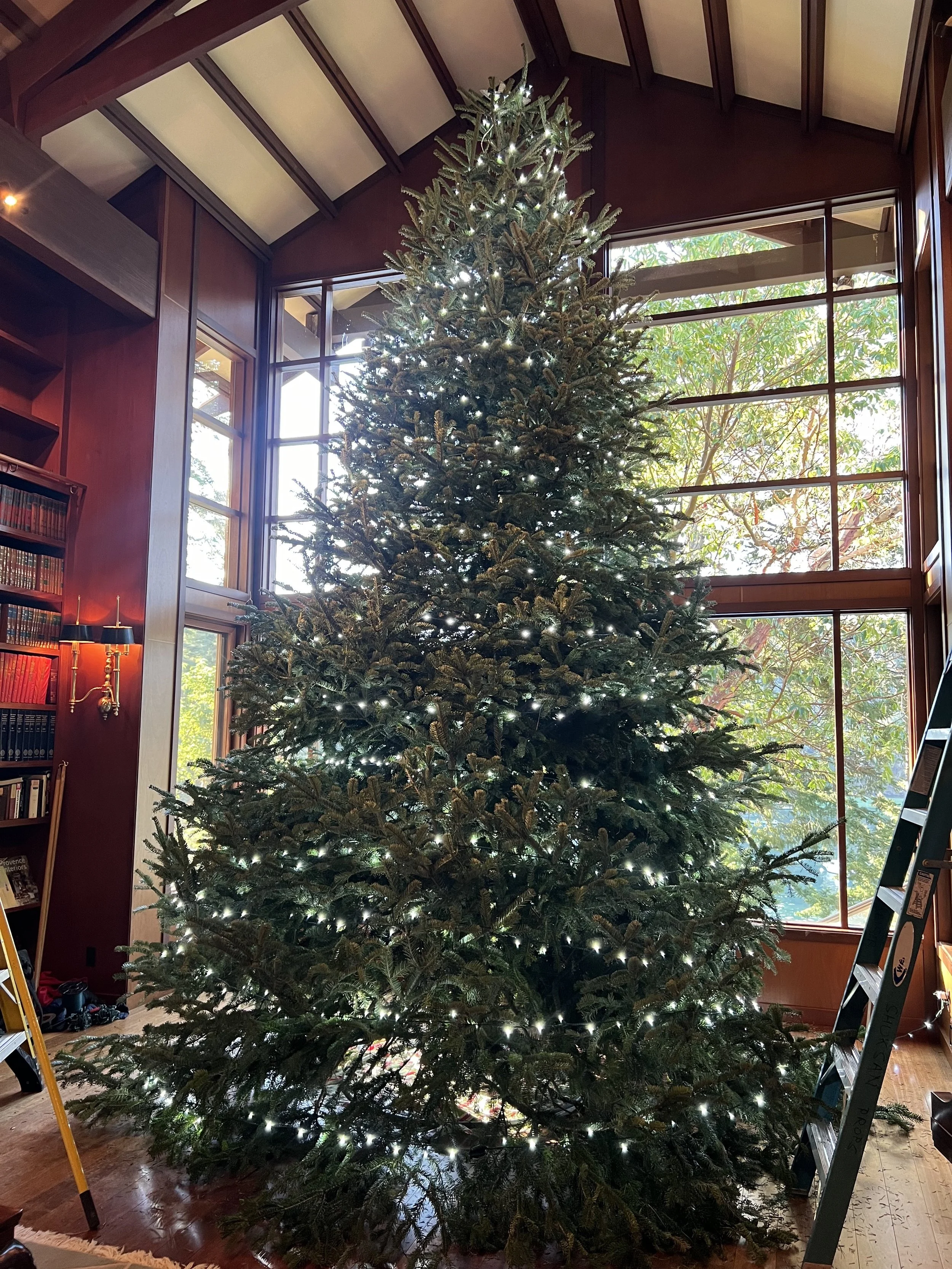 Indoor spiral wrapped tree in Cool White color