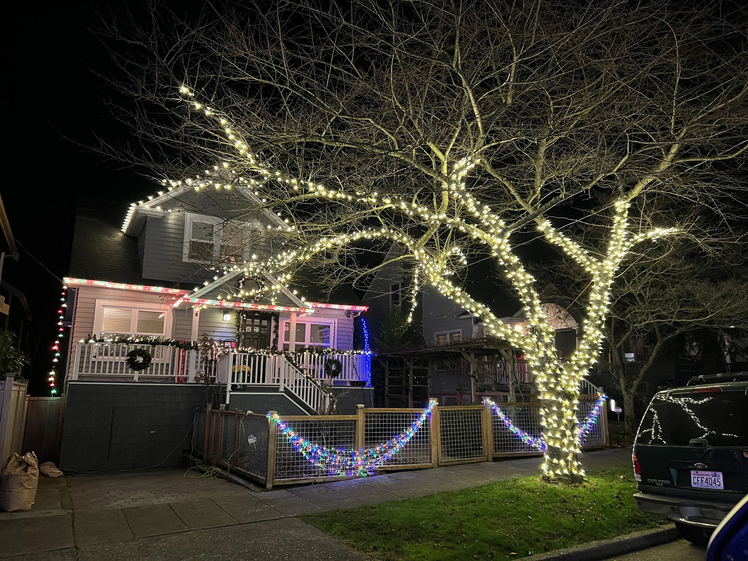 Cali wrapped style tree