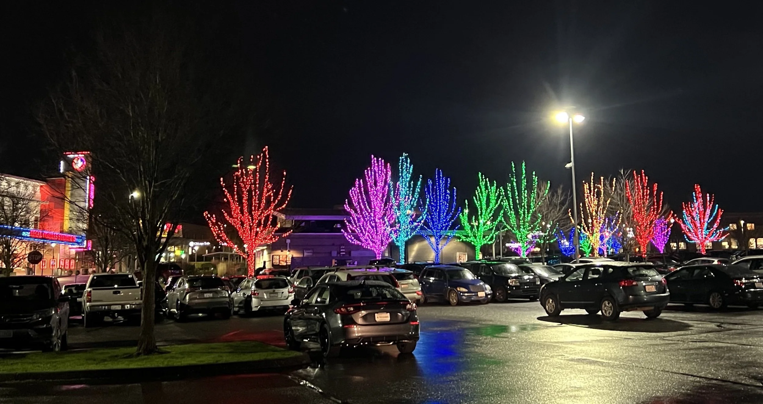 Large Cali wrapped trees