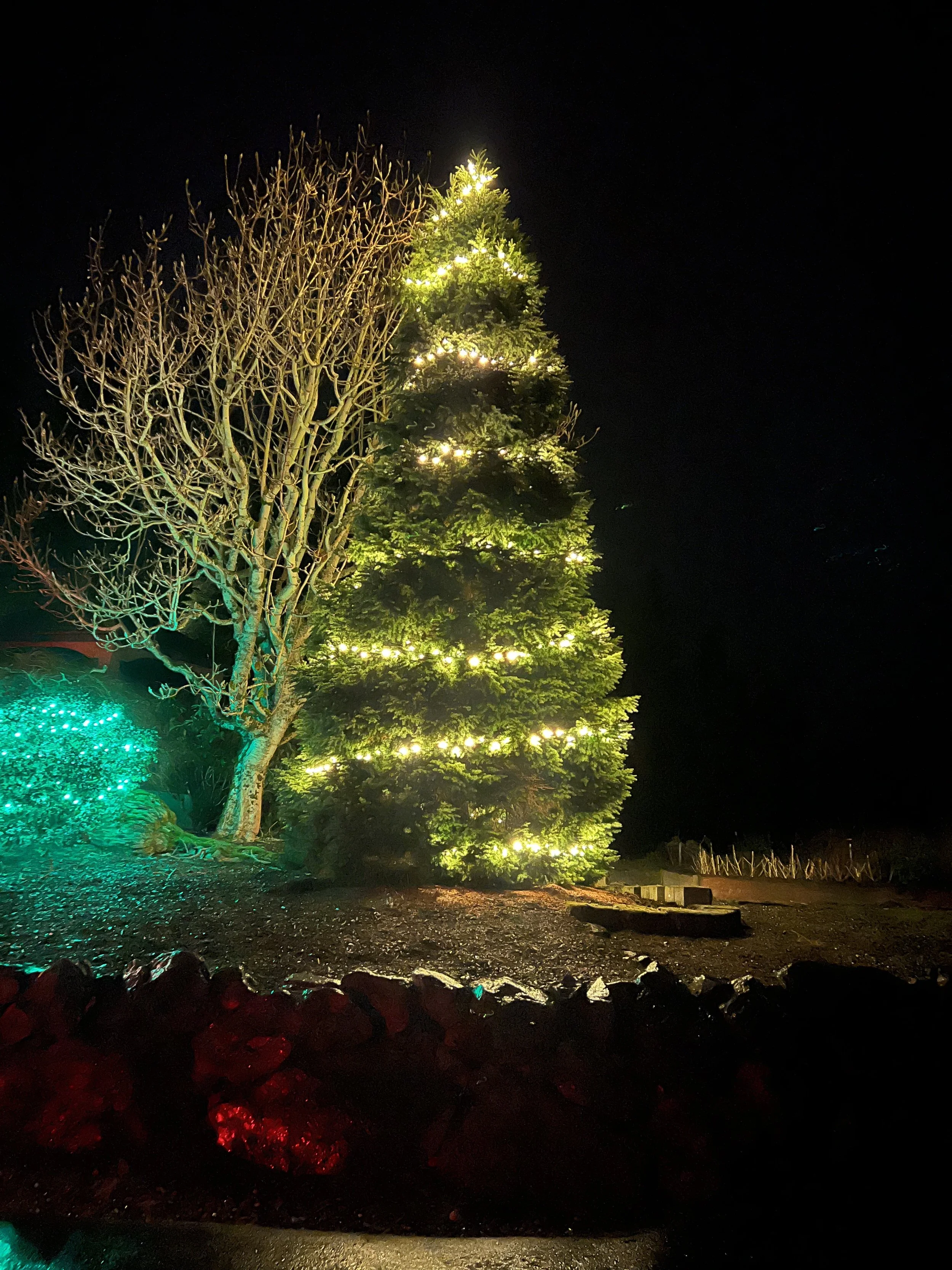 Spiral wrapped style tree